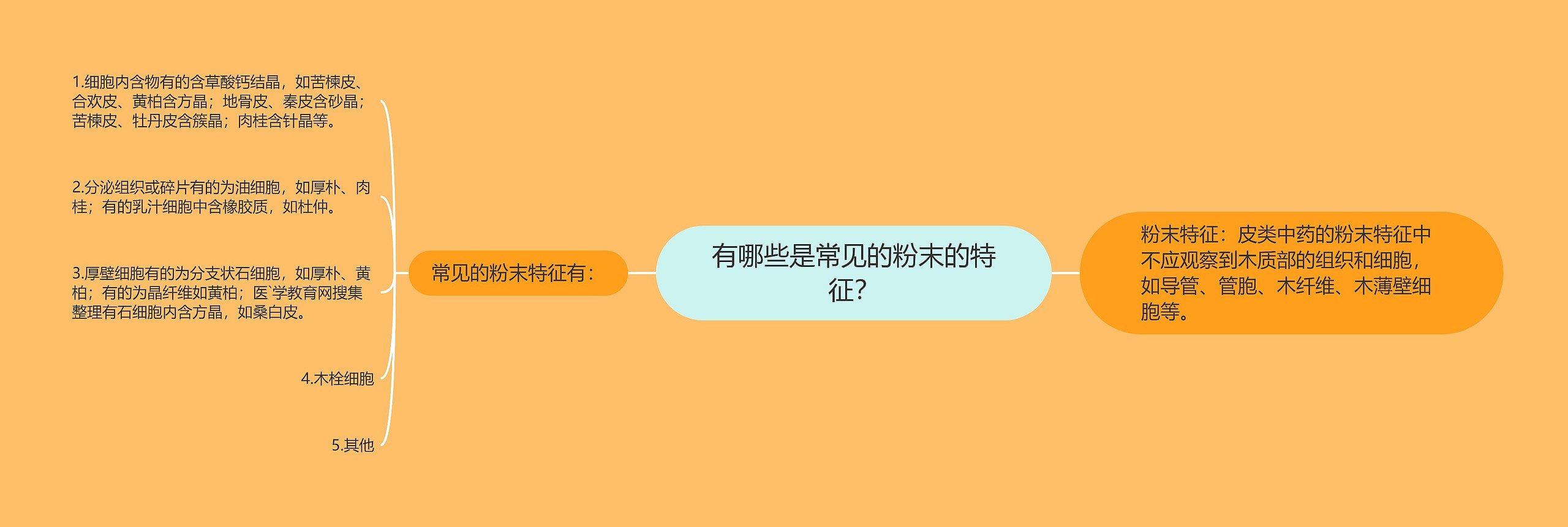 有哪些是常见的粉末的特征？思维导图