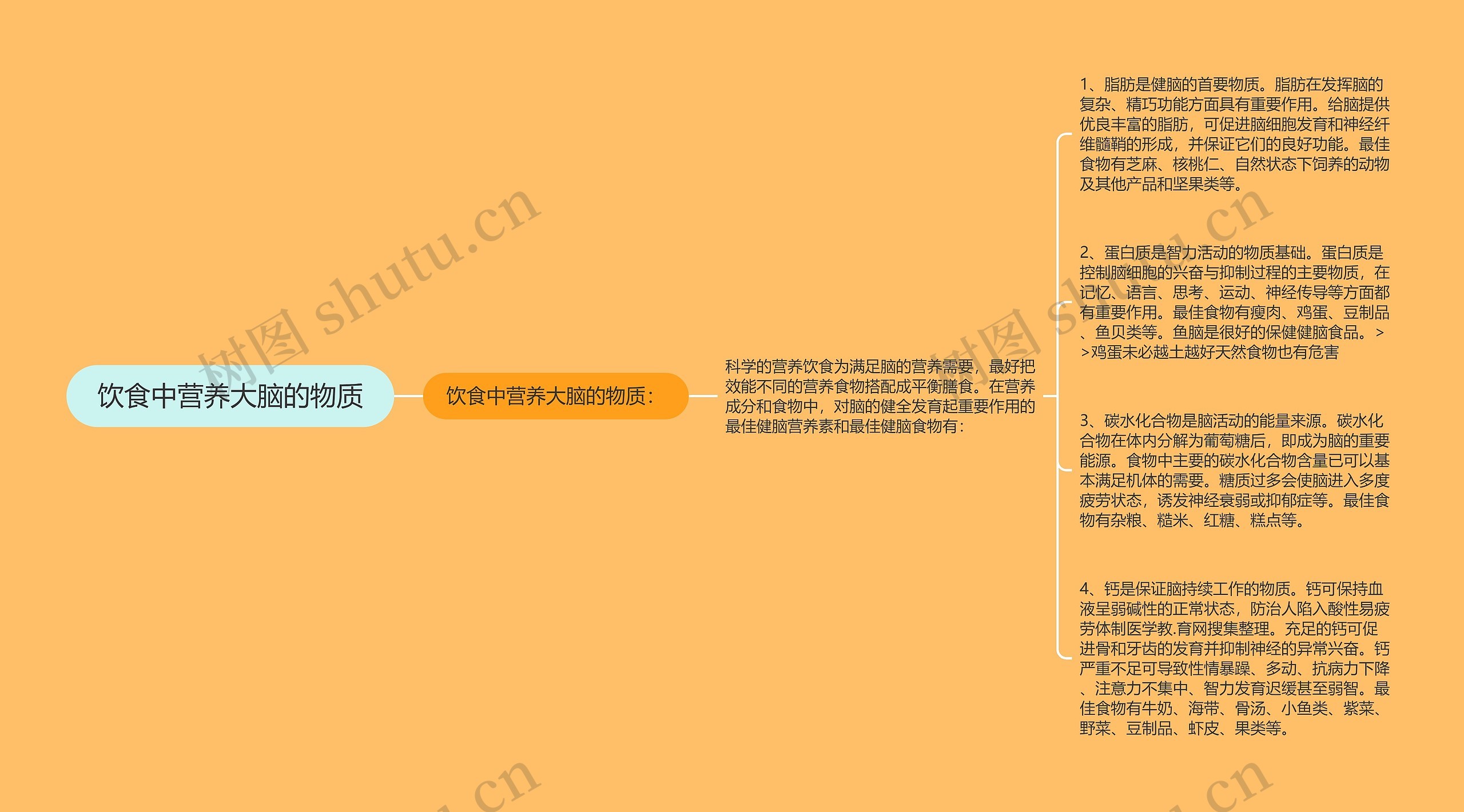 饮食中营养大脑的物质思维导图