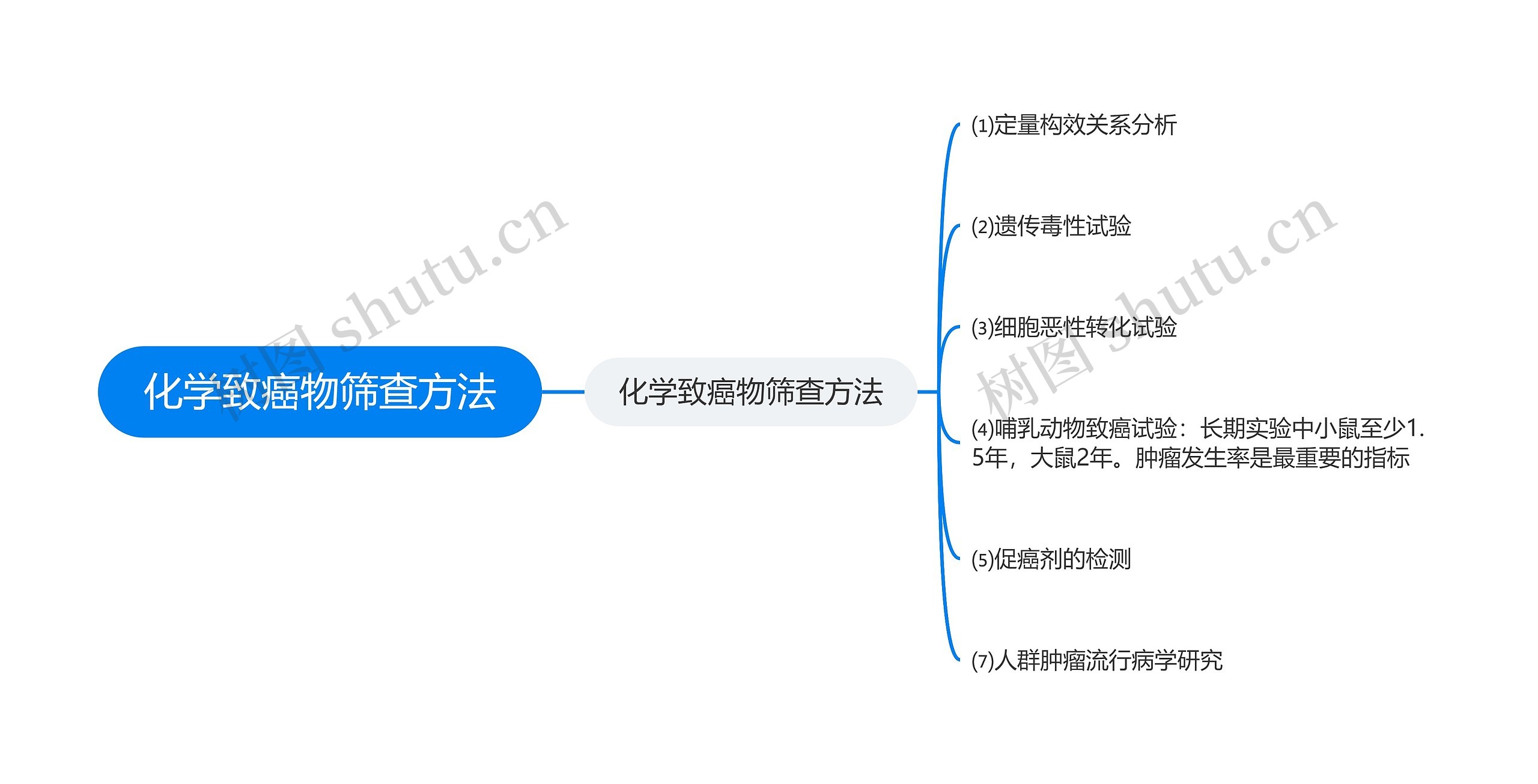 化学致癌物筛查方法思维导图