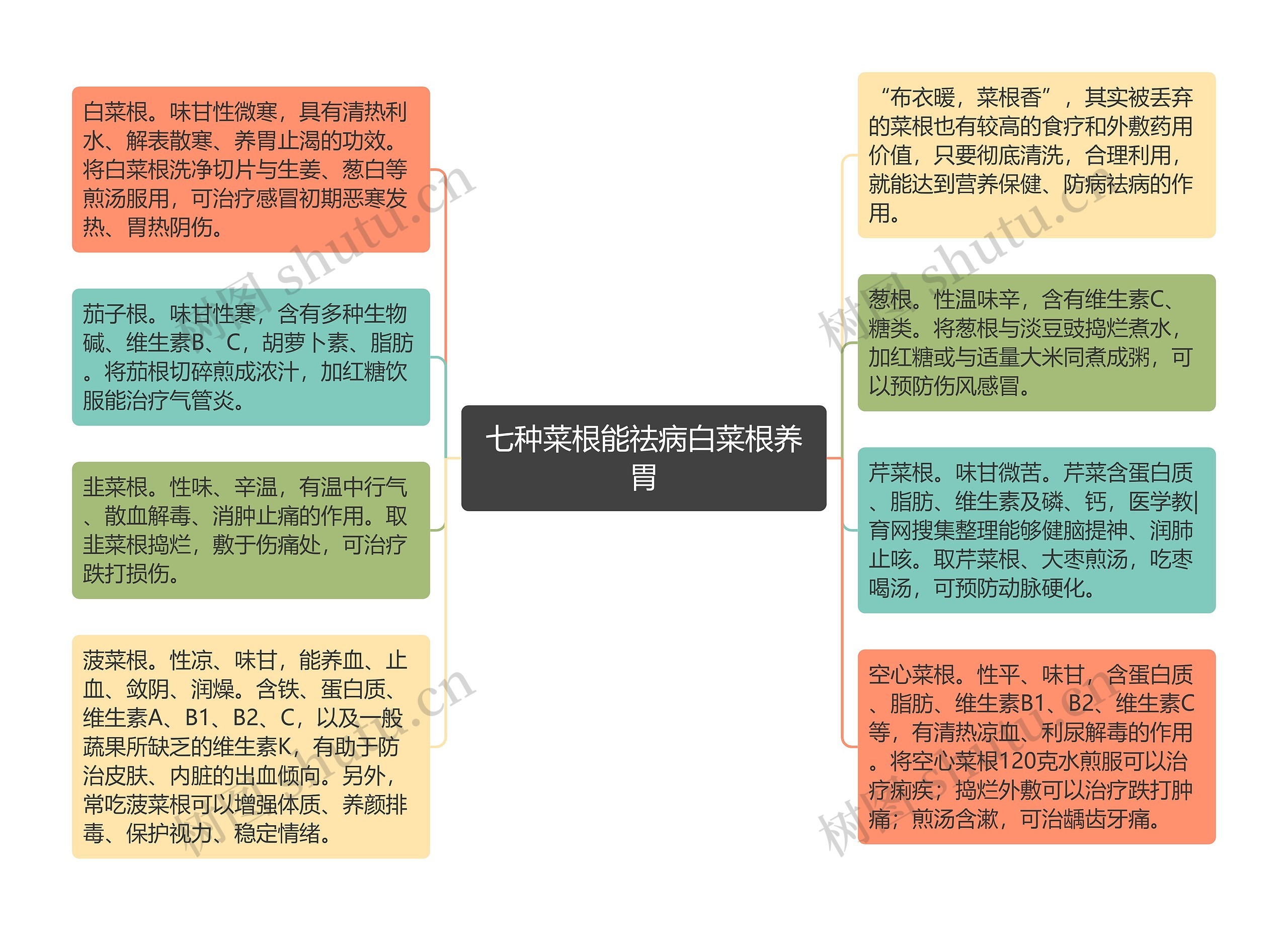 七种菜根能祛病白菜根养胃思维导图