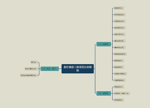 医疗美容二级项目分类明细