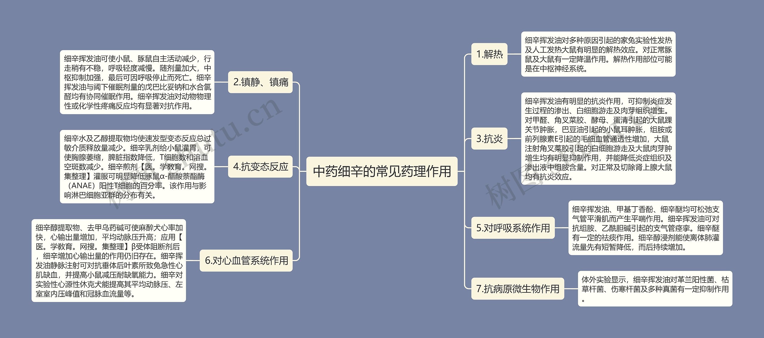 中药细辛的常见药理作用思维导图