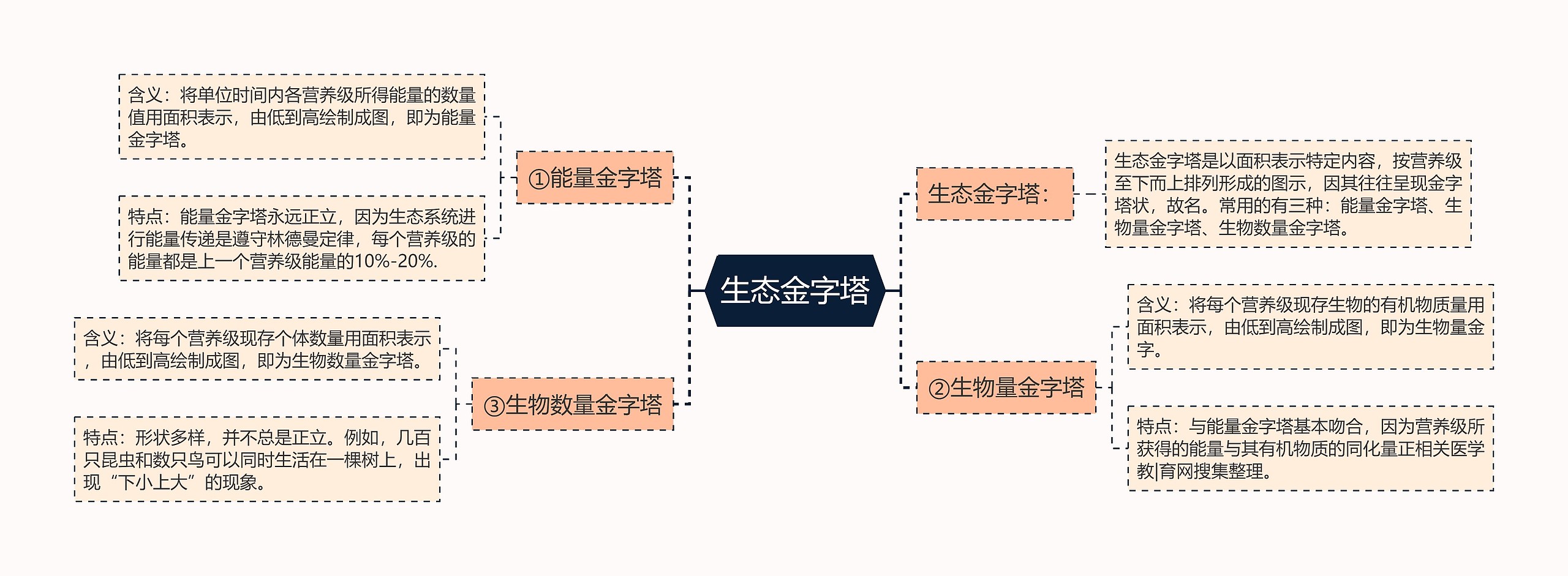 生态金字塔思维导图