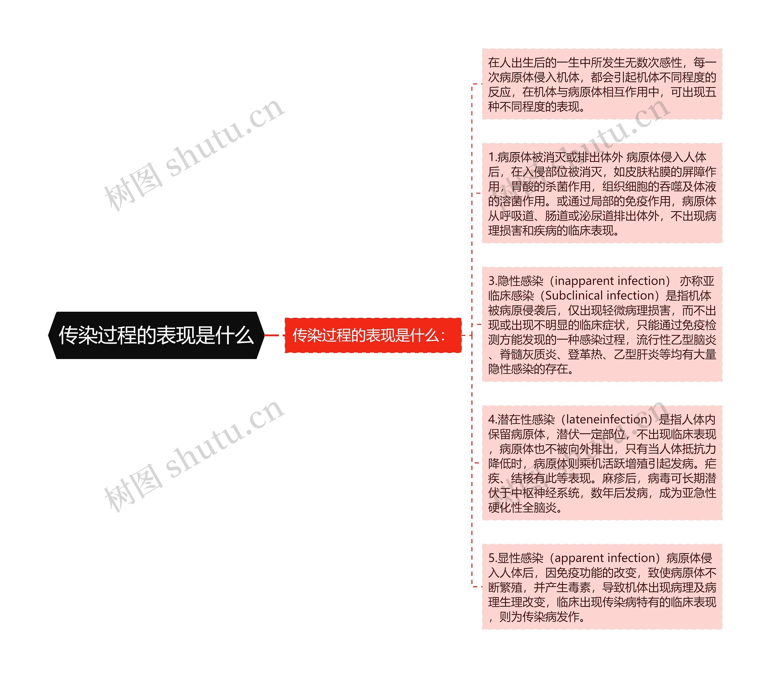 传染过程的表现是什么思维导图