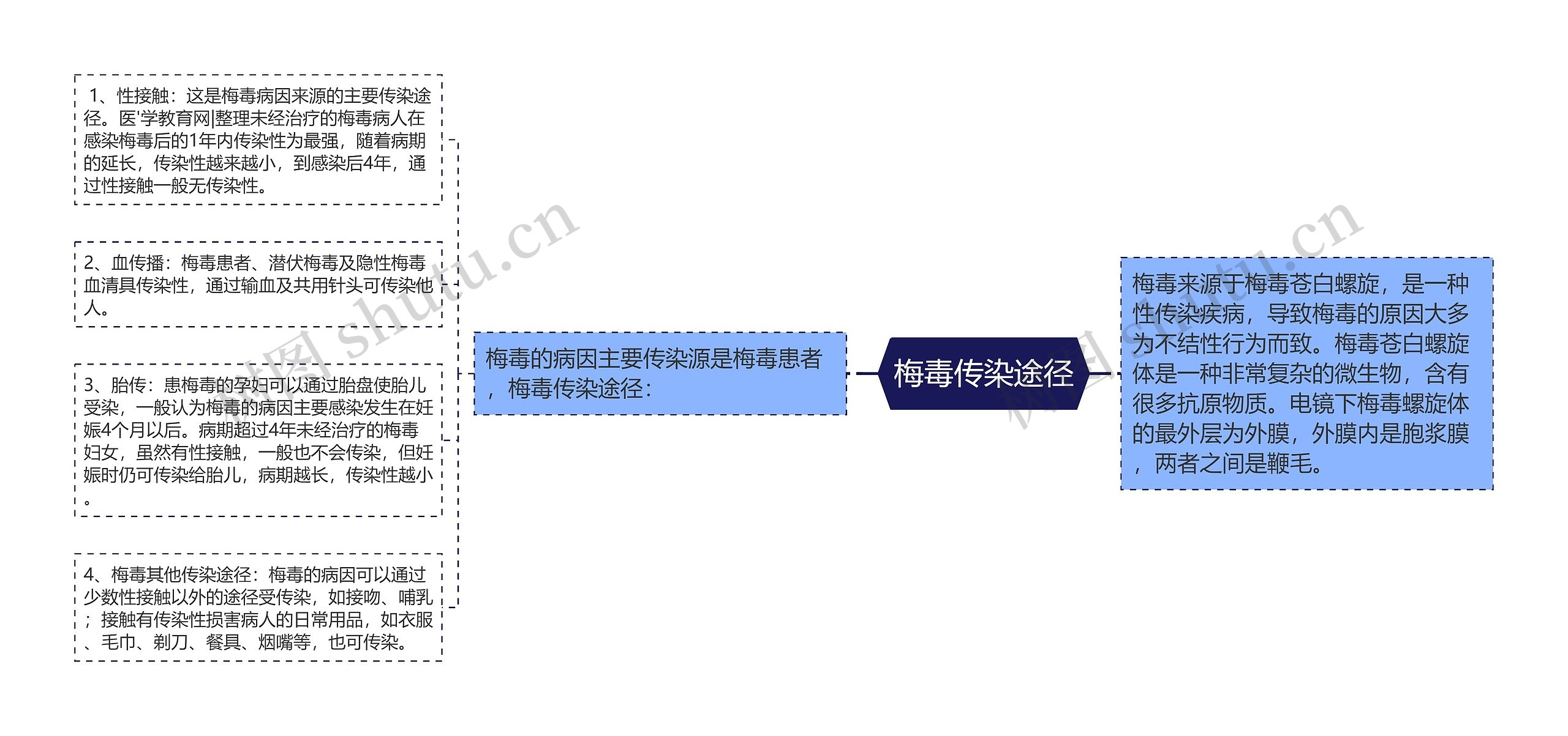 梅毒传染途径思维导图