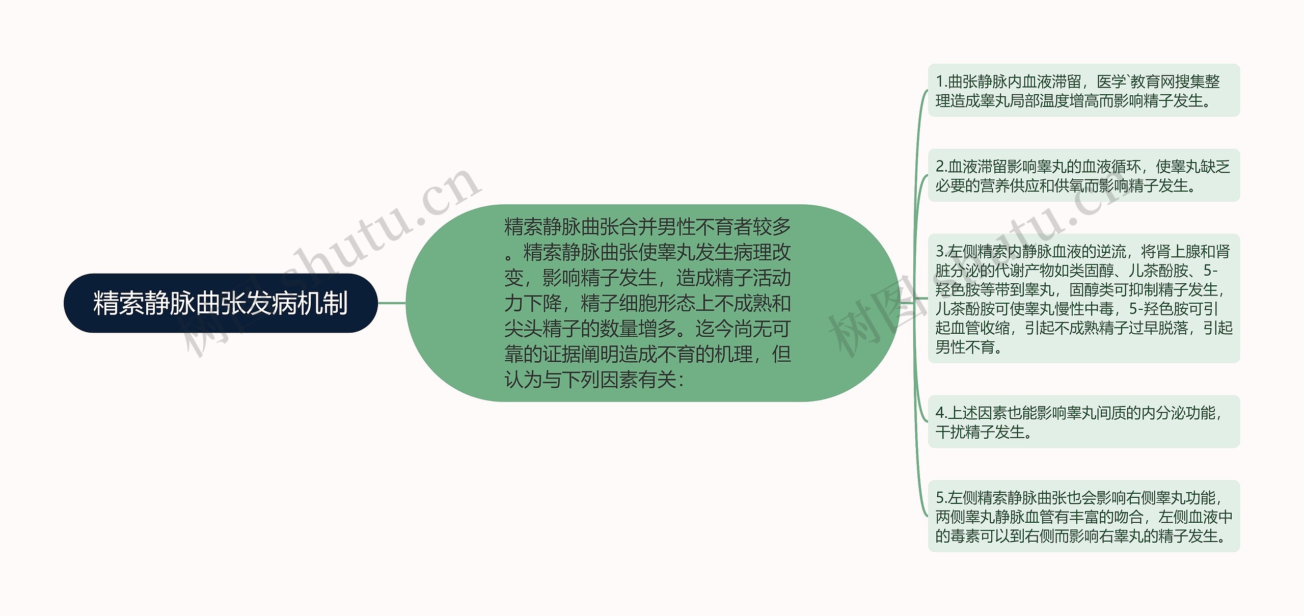 精索静脉曲张发病机制思维导图