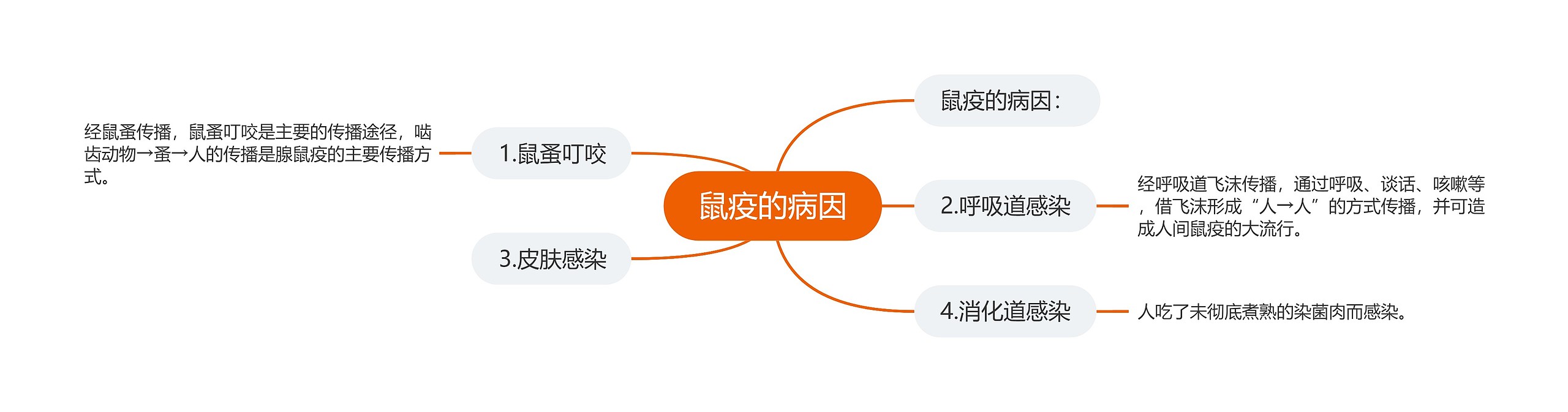 鼠疫的病因思维导图