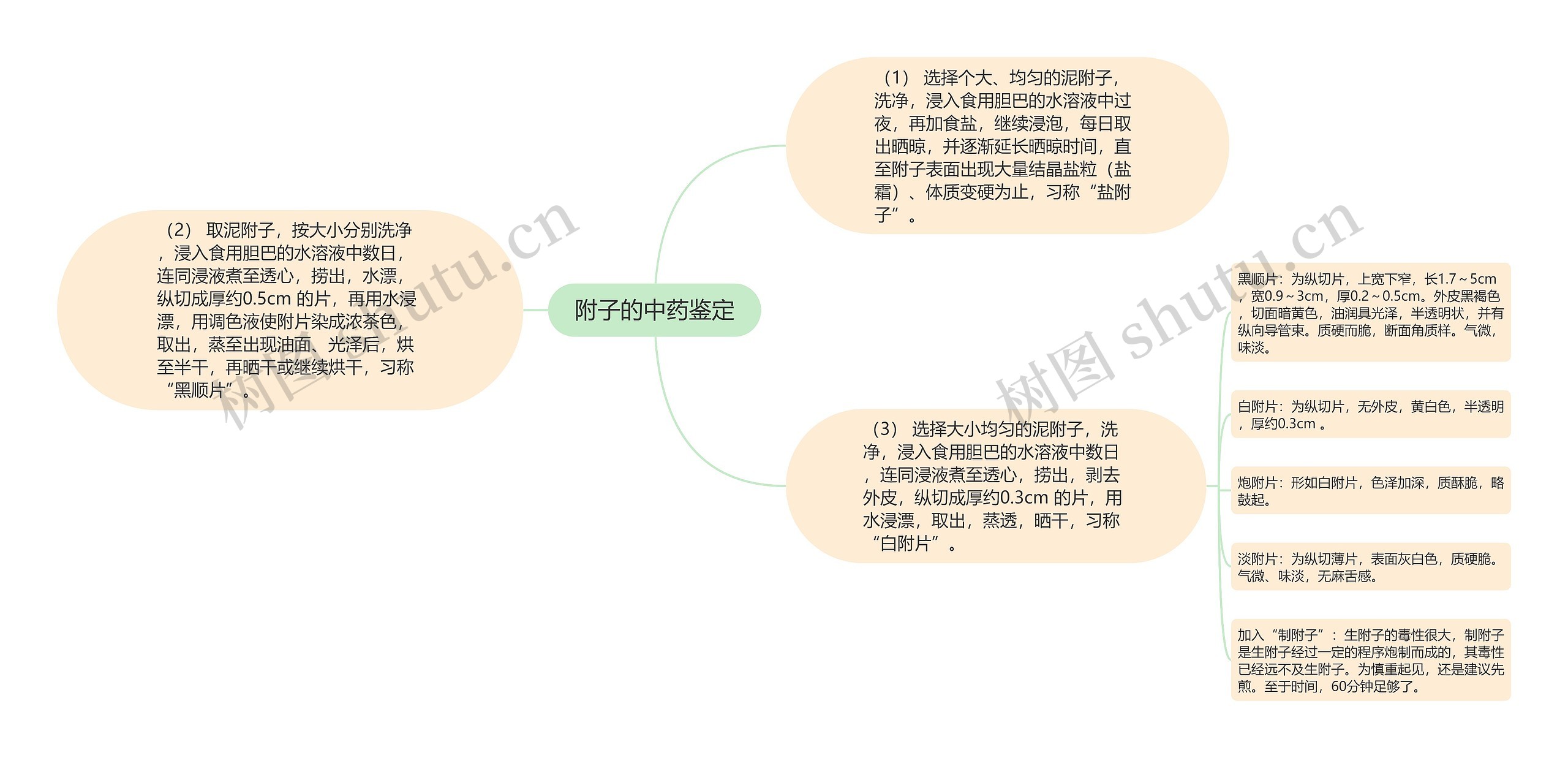 附子的中药鉴定