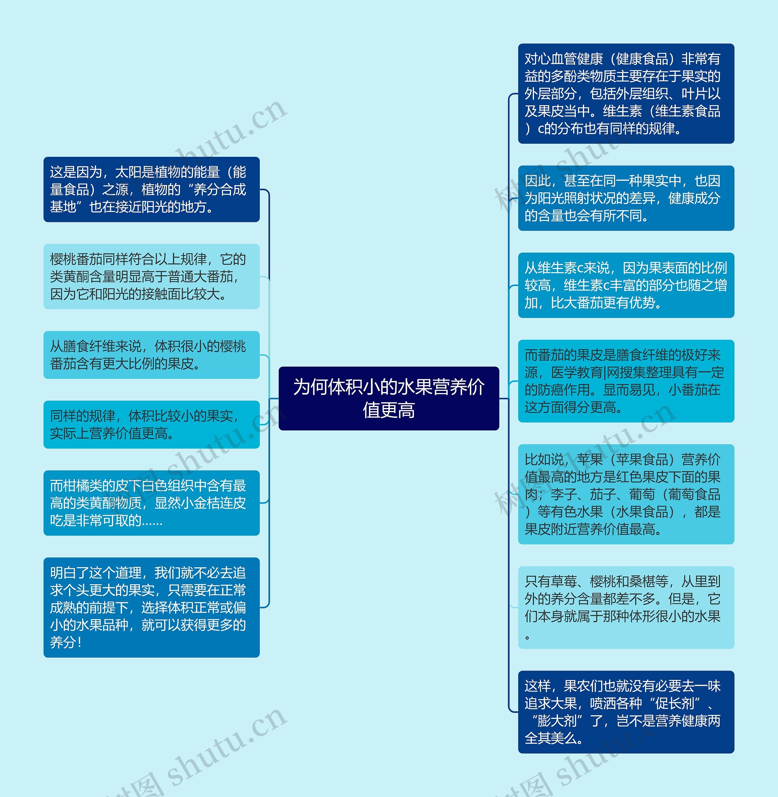 为何体积小的水果营养价值更高思维导图