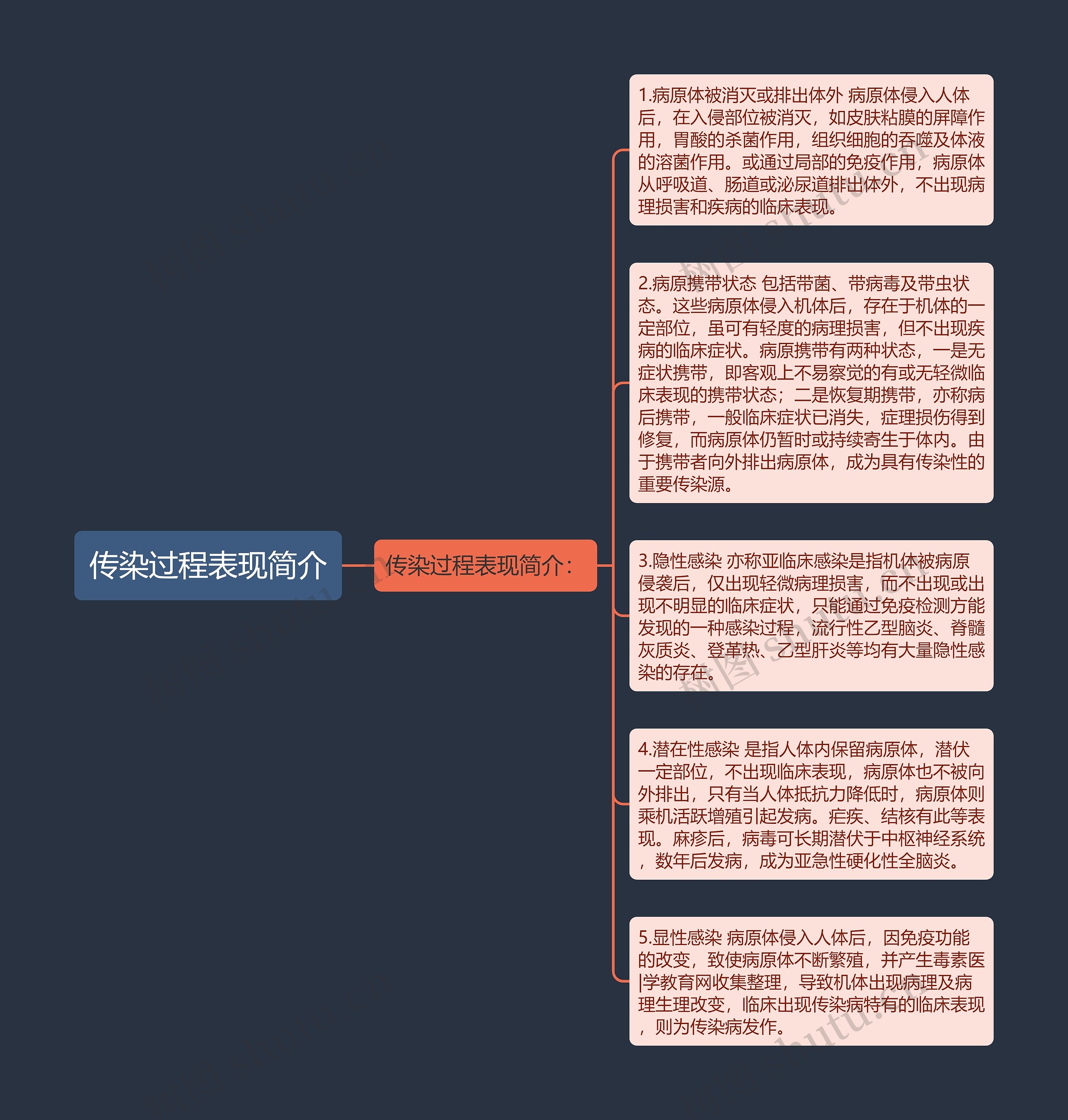 传染过程表现简介