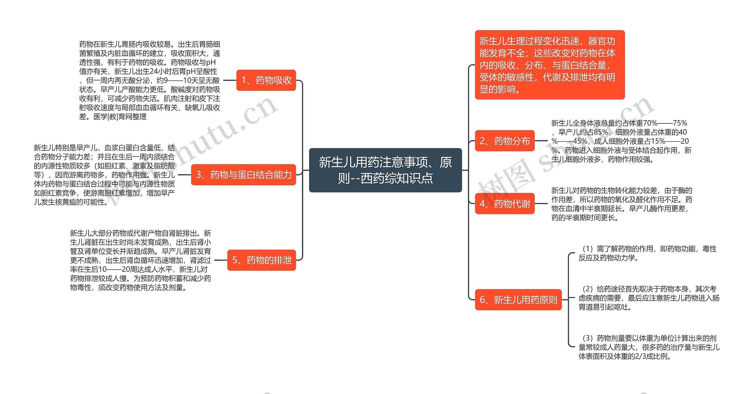 新生儿用药注意事项、原则--西药综知识点