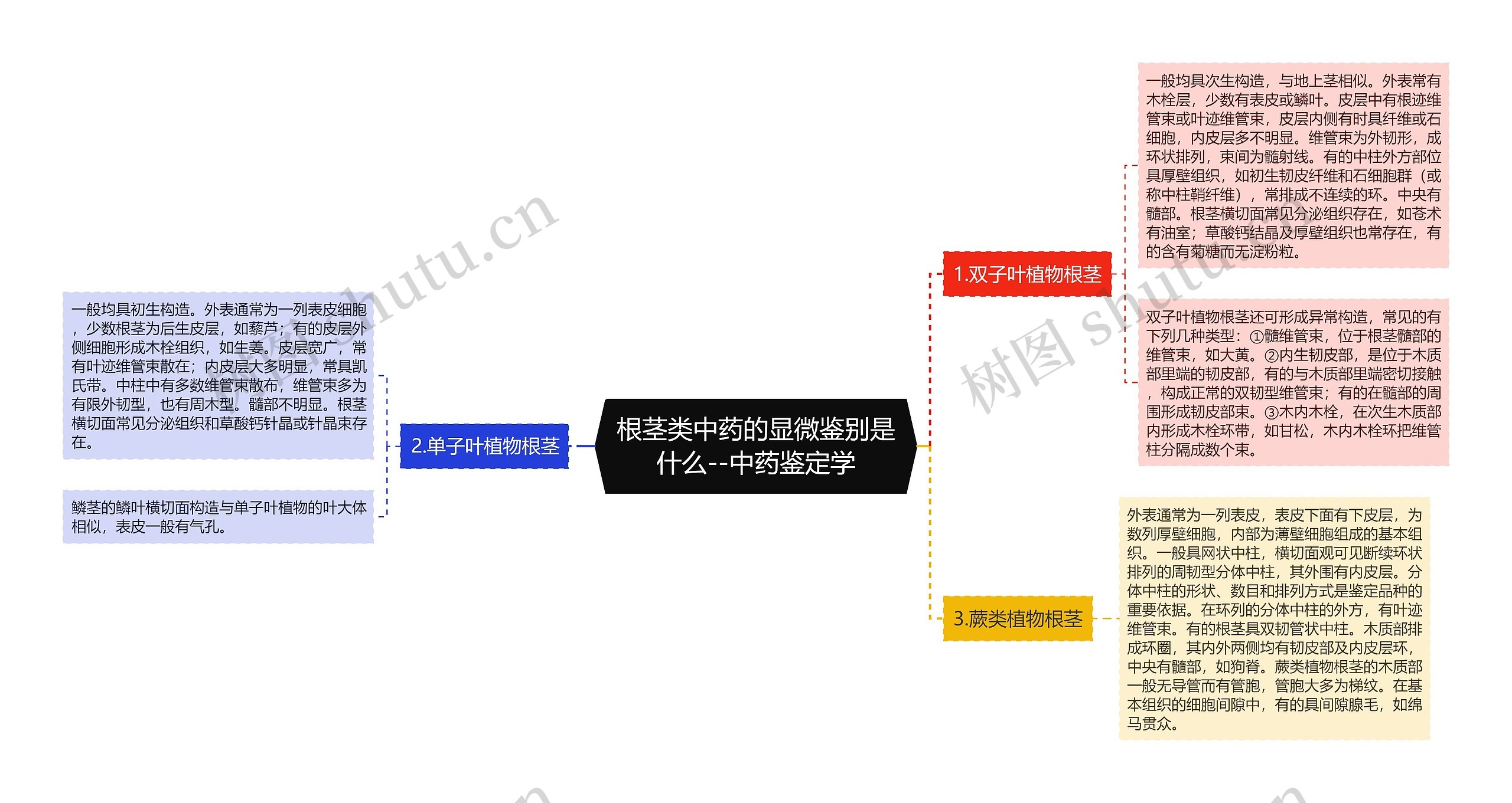 根茎类中药的显微鉴别是什么--中药鉴定学思维导图