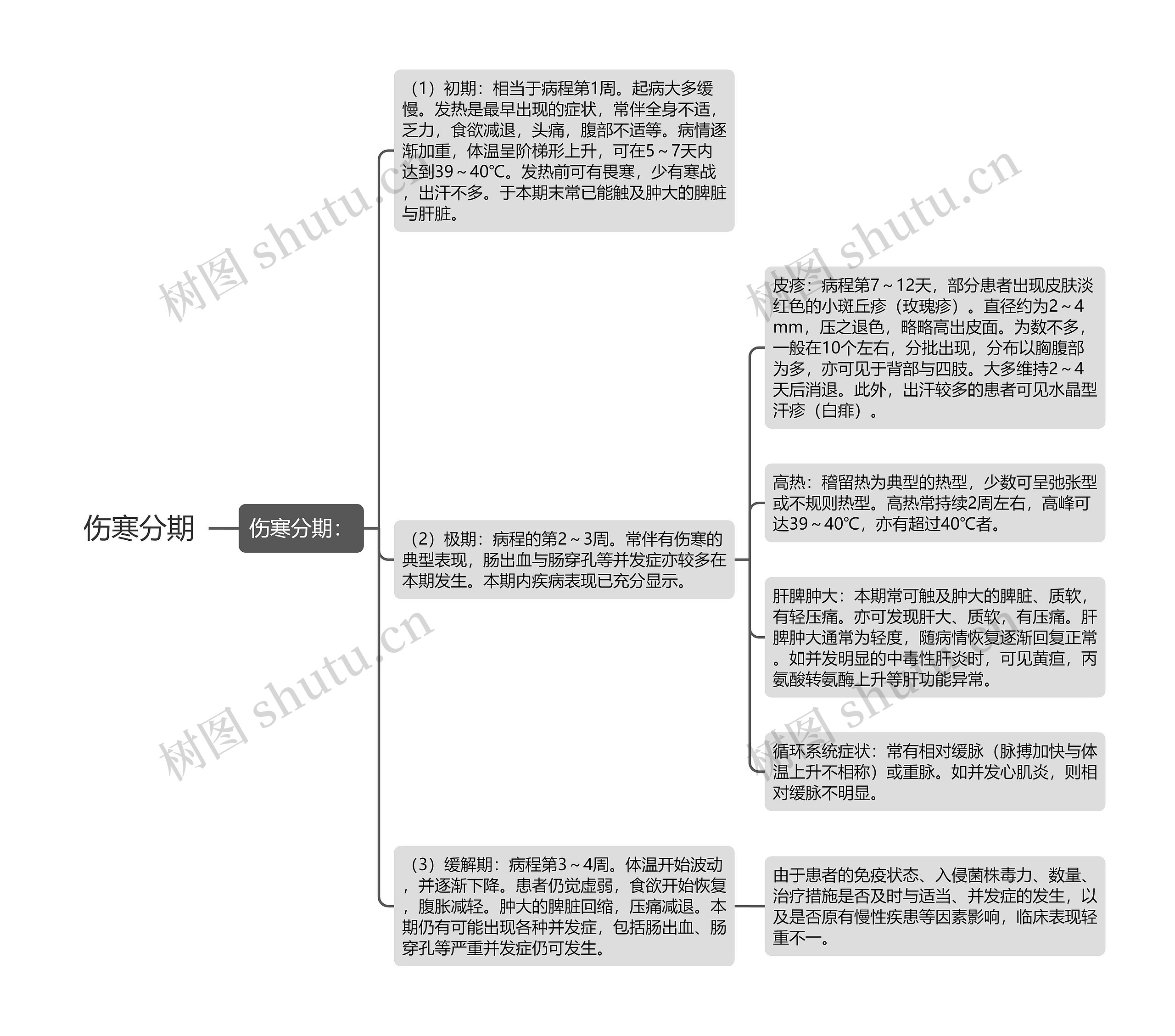 伤寒分期 伤寒分期