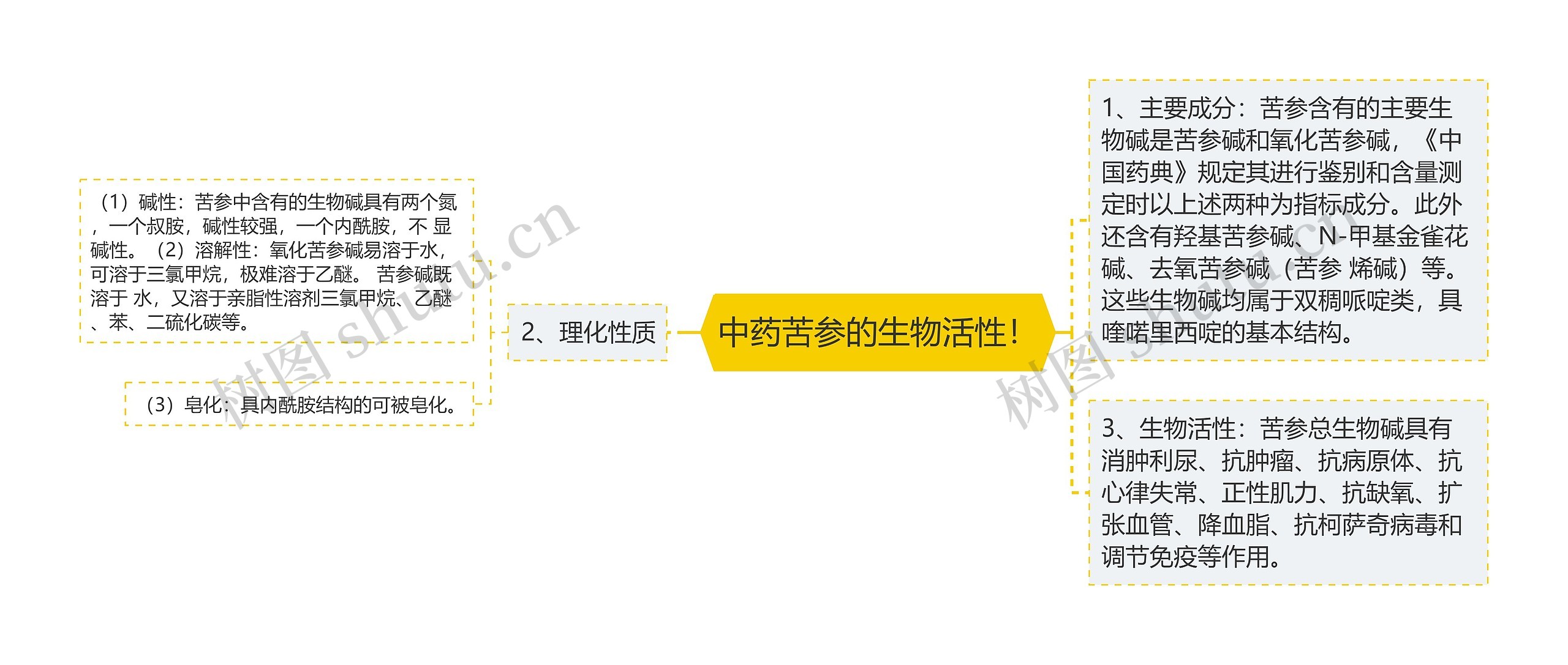 中药苦参的生物活性！思维导图