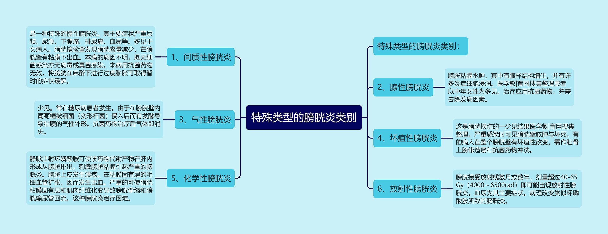 特殊类型的膀胱炎类别