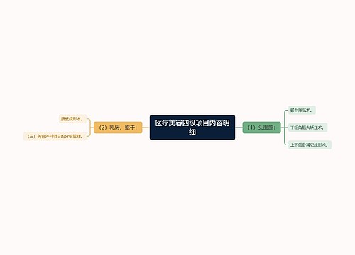 医疗美容四级项目内容明细