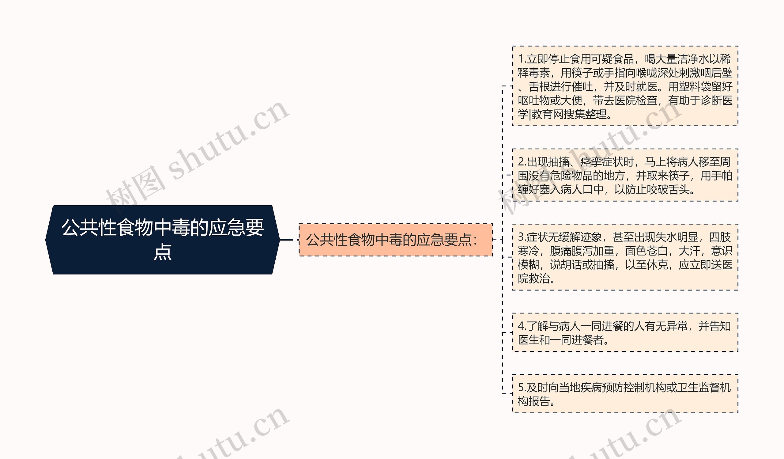 公共性食物中毒的应急要点思维导图