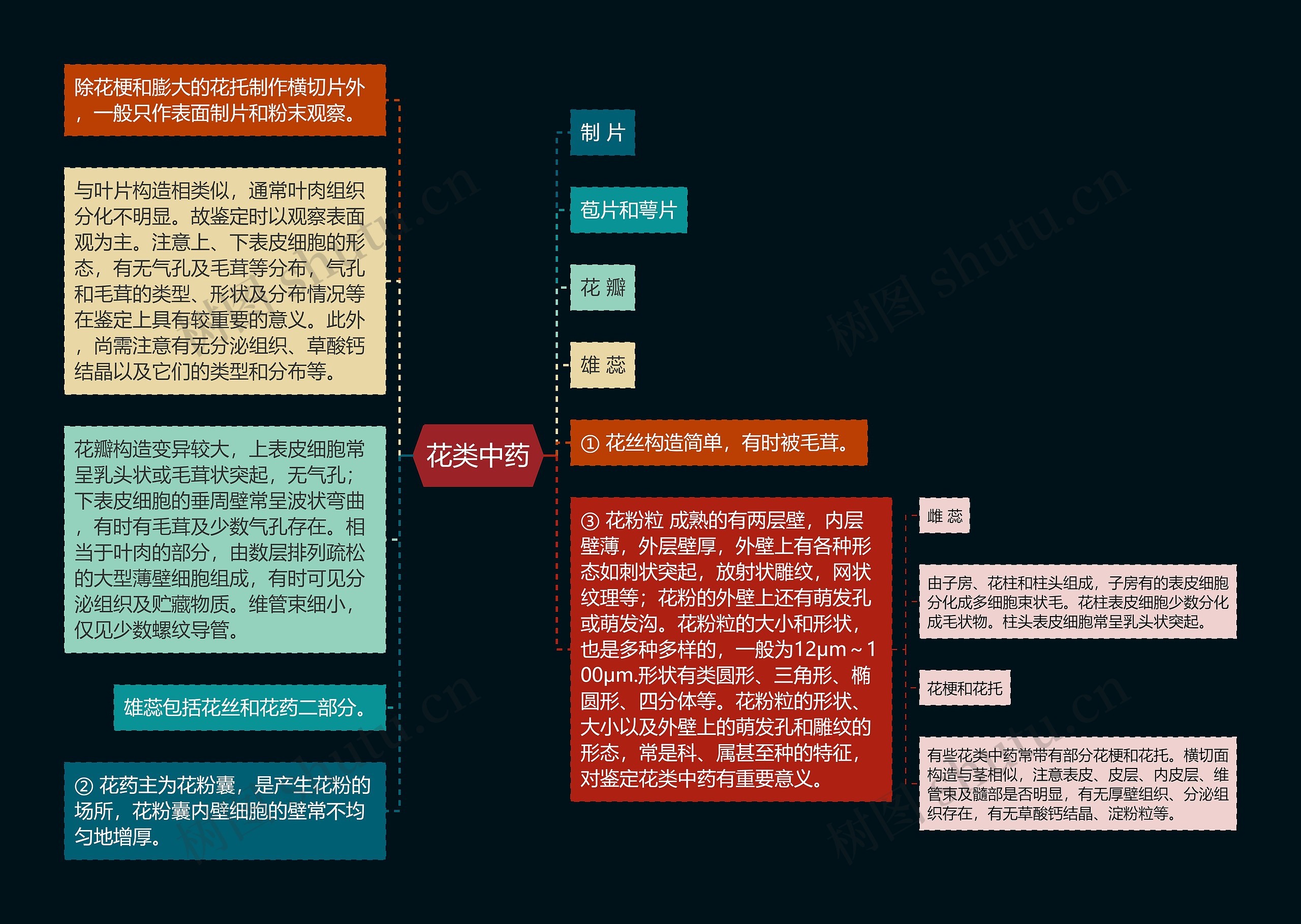 花类中药思维导图