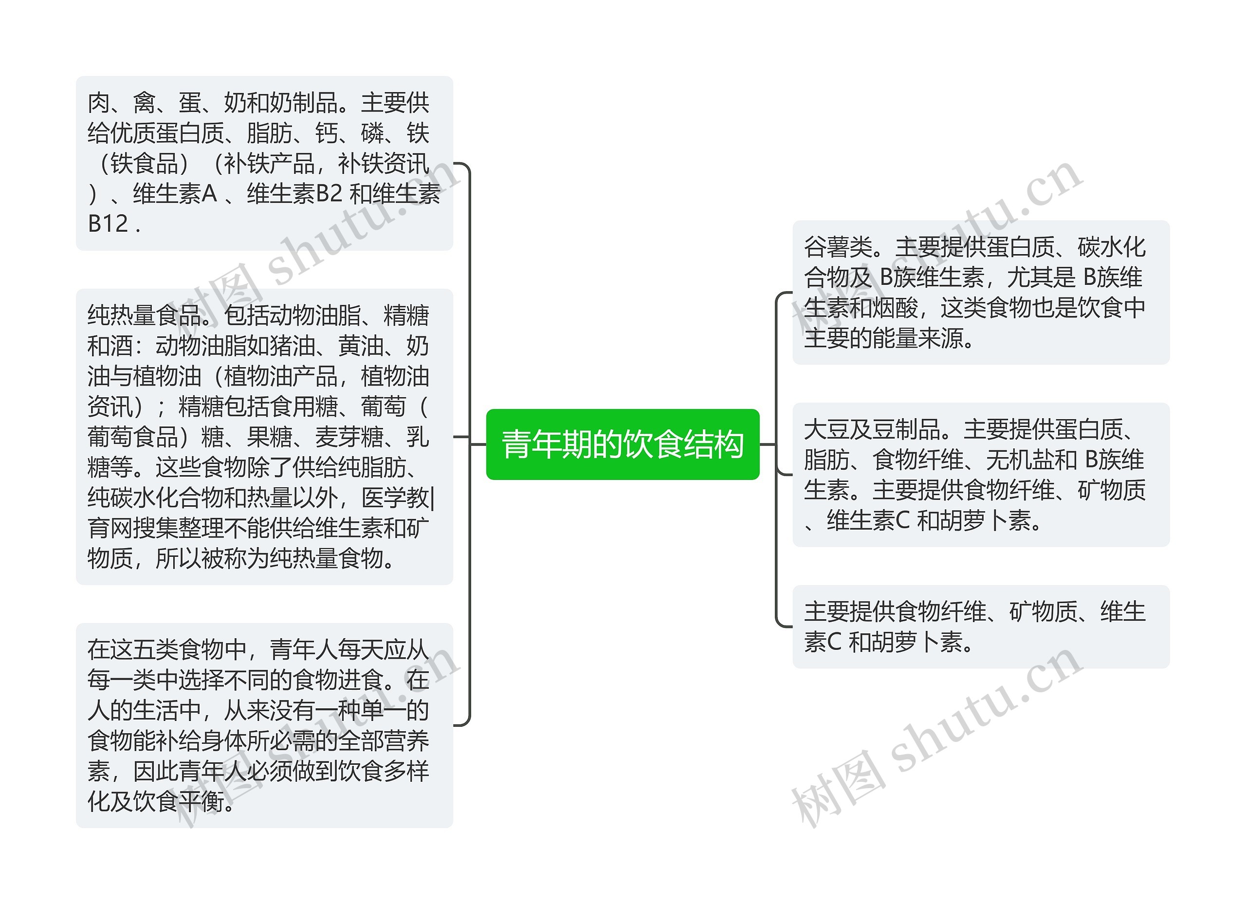 青年期的饮食结构思维导图