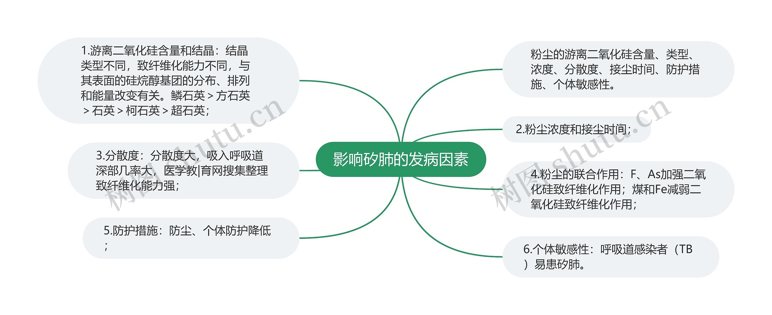 影响矽肺的发病因素思维导图