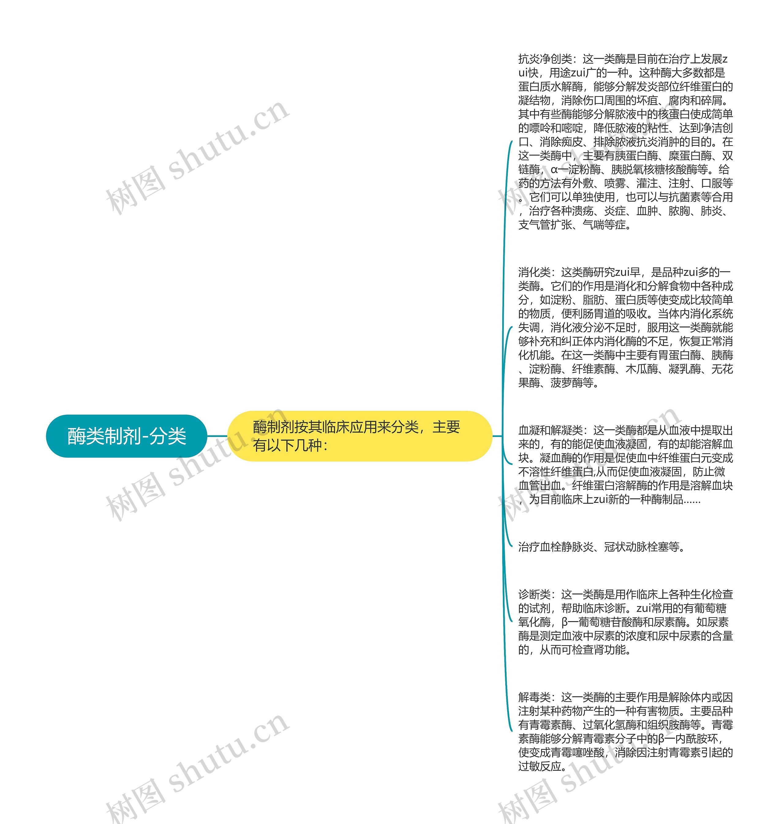 酶类制剂-分类思维导图