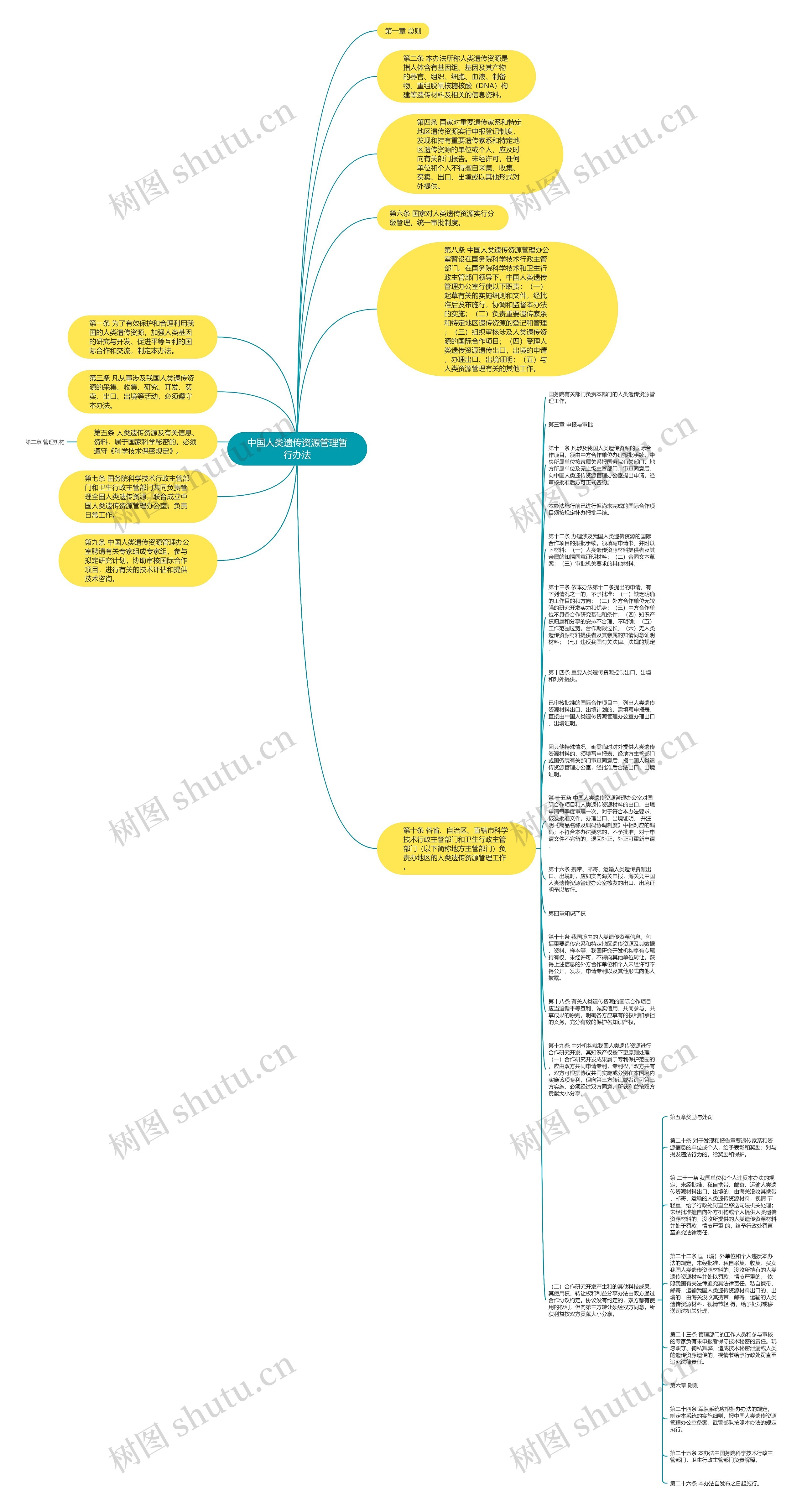 中国人类遗传资源管理暂行办法思维导图