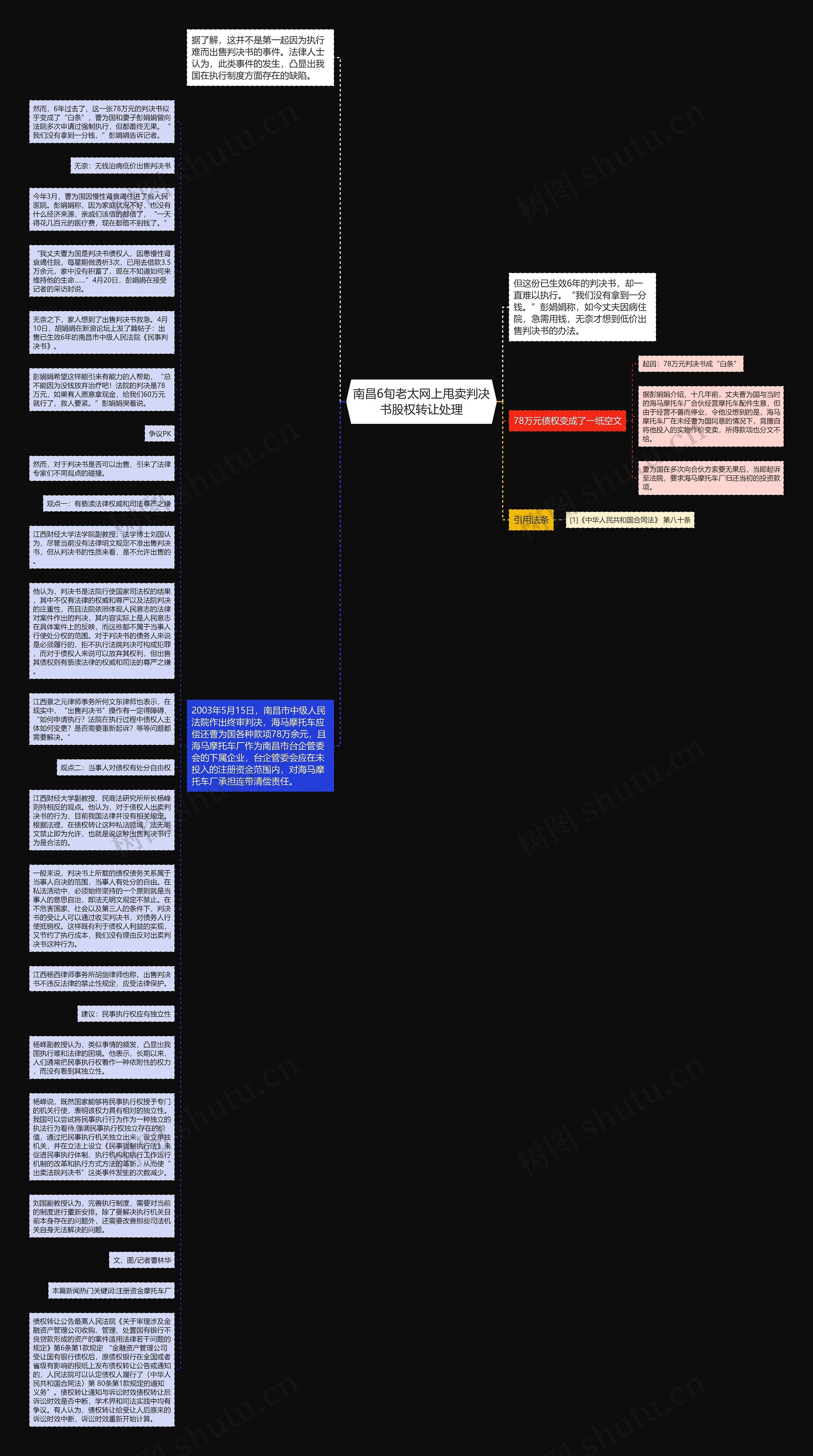 南昌6旬老太网上甩卖判决书股权转让处理思维导图