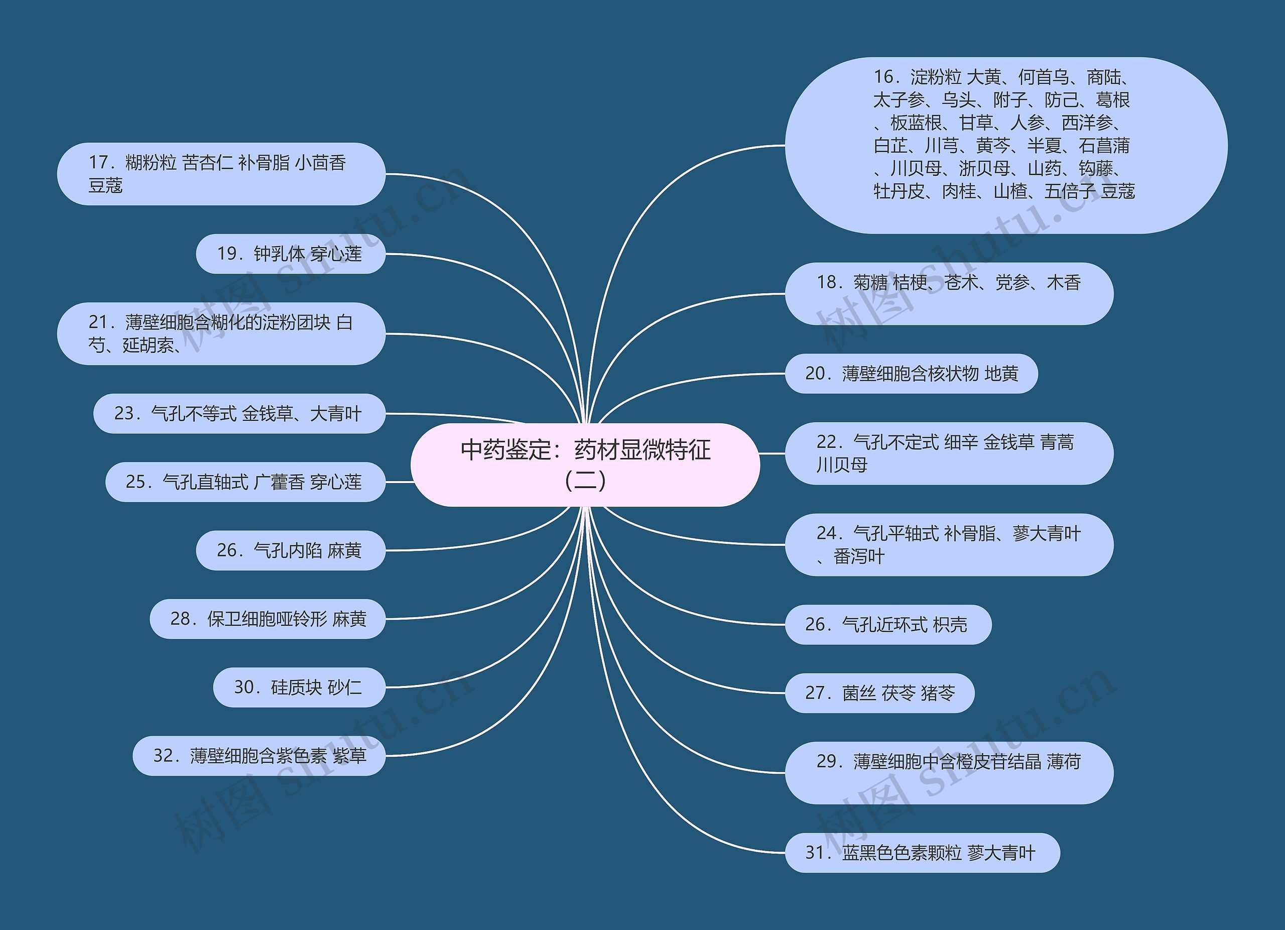 中药鉴定：药材显微特征（二）思维导图