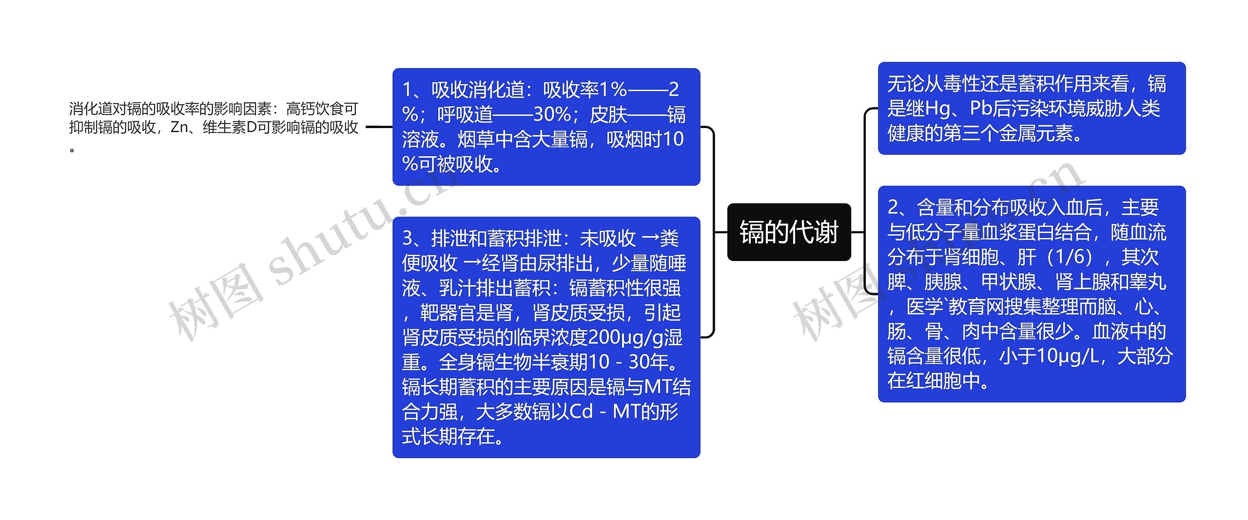 镉的代谢思维导图