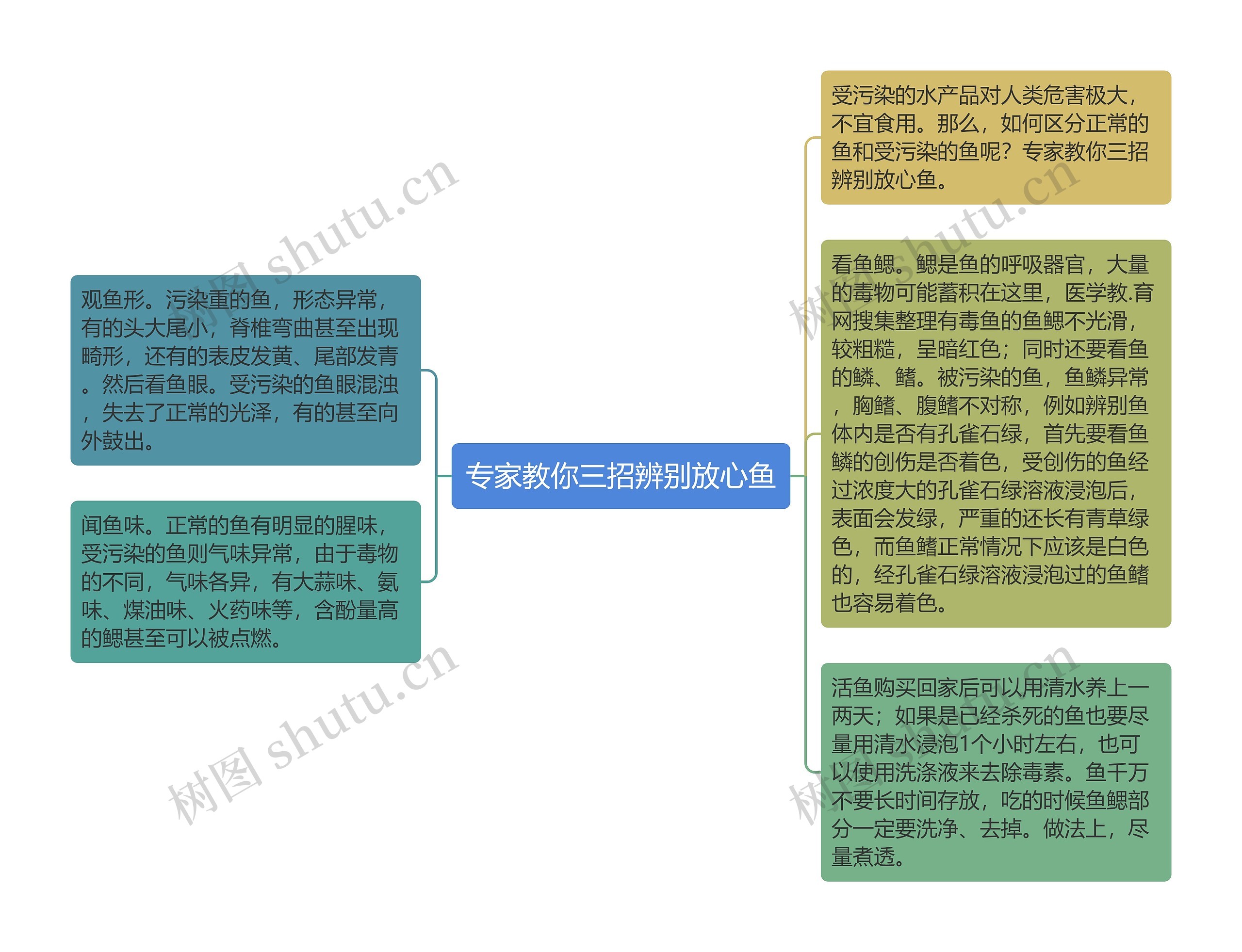 专家教你三招辨别放心鱼思维导图