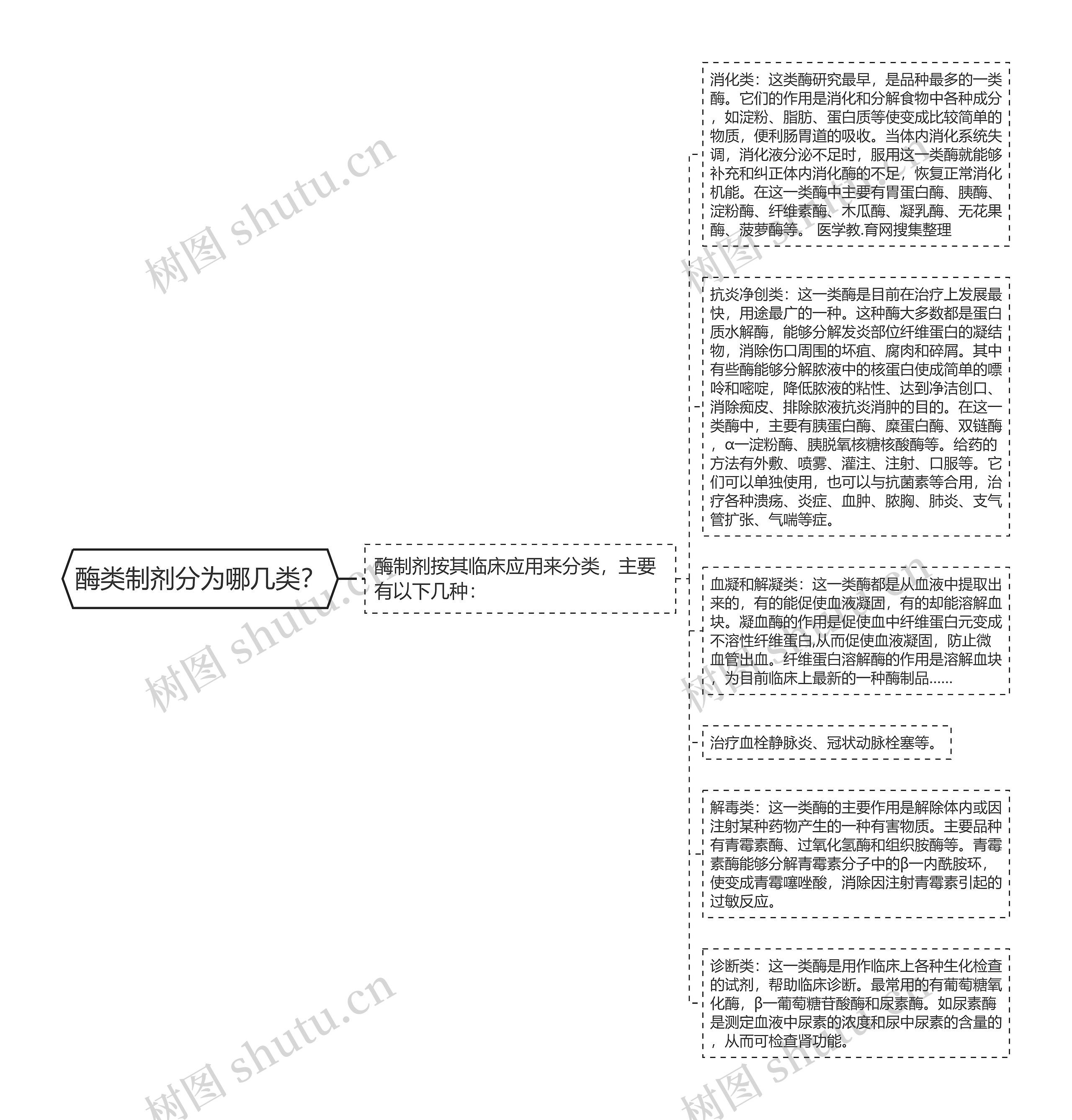 酶类制剂分为哪几类？思维导图