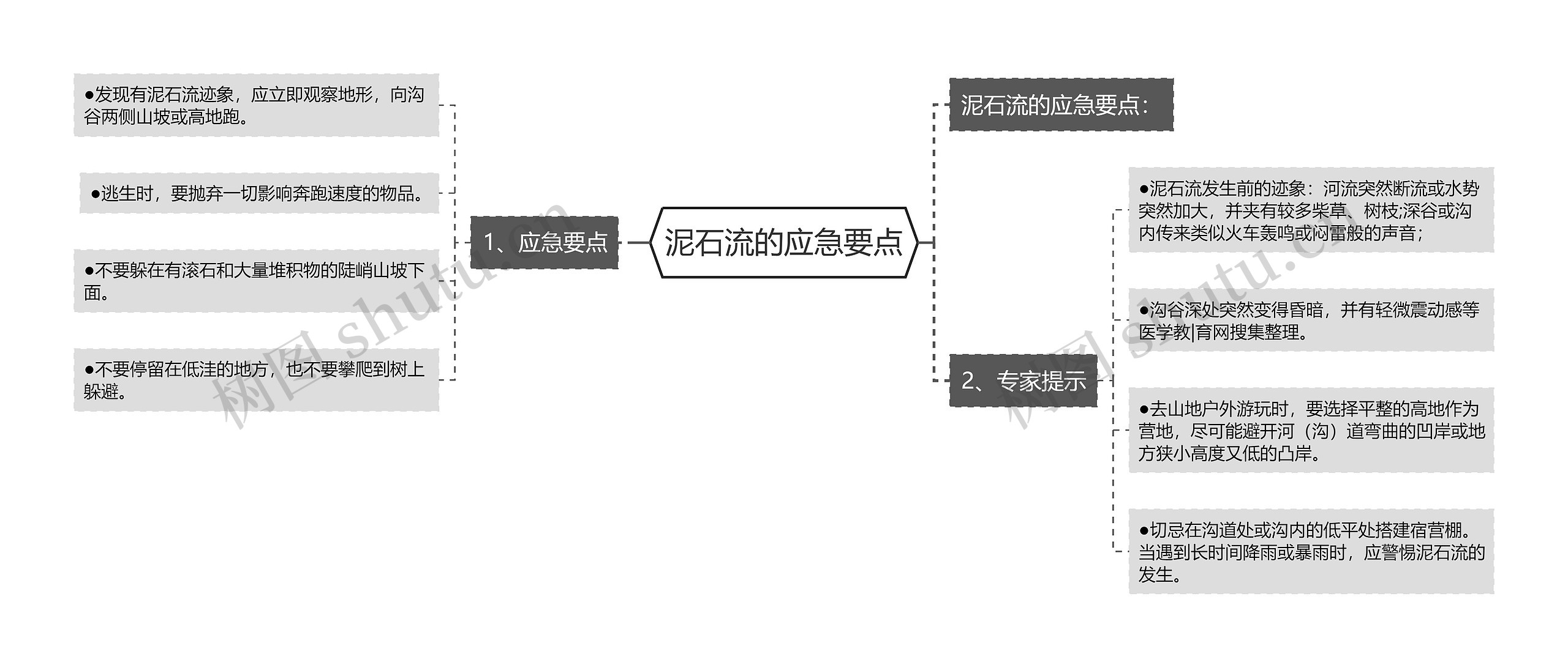 泥石流的应急要点思维导图