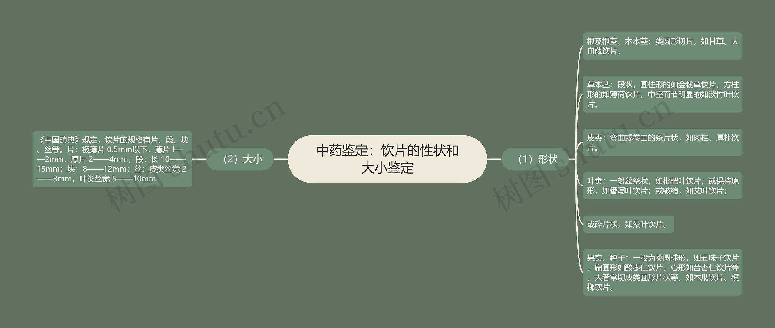中药鉴定：饮片的性状和大小鉴定