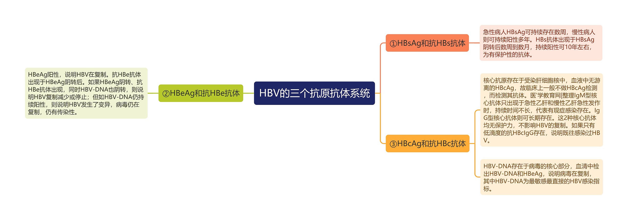 HBV的三个抗原抗体系统 HBV的三个抗原抗体系统