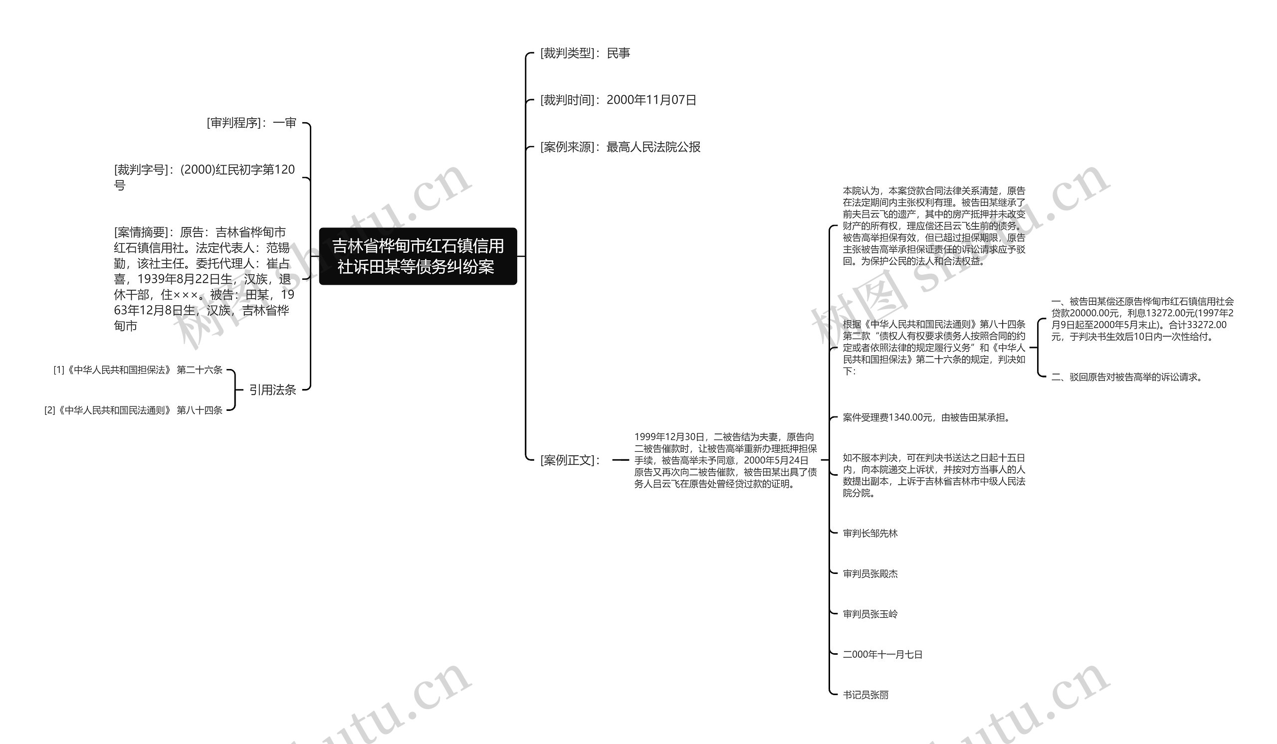 吉林省桦甸市红石镇信用社诉田某等债务纠纷案 思维导图