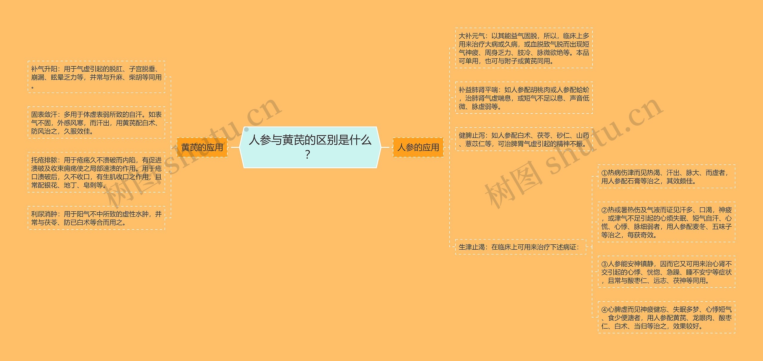 人参与黄芪的区别是什么? 人参与黄芪的区别是什么?