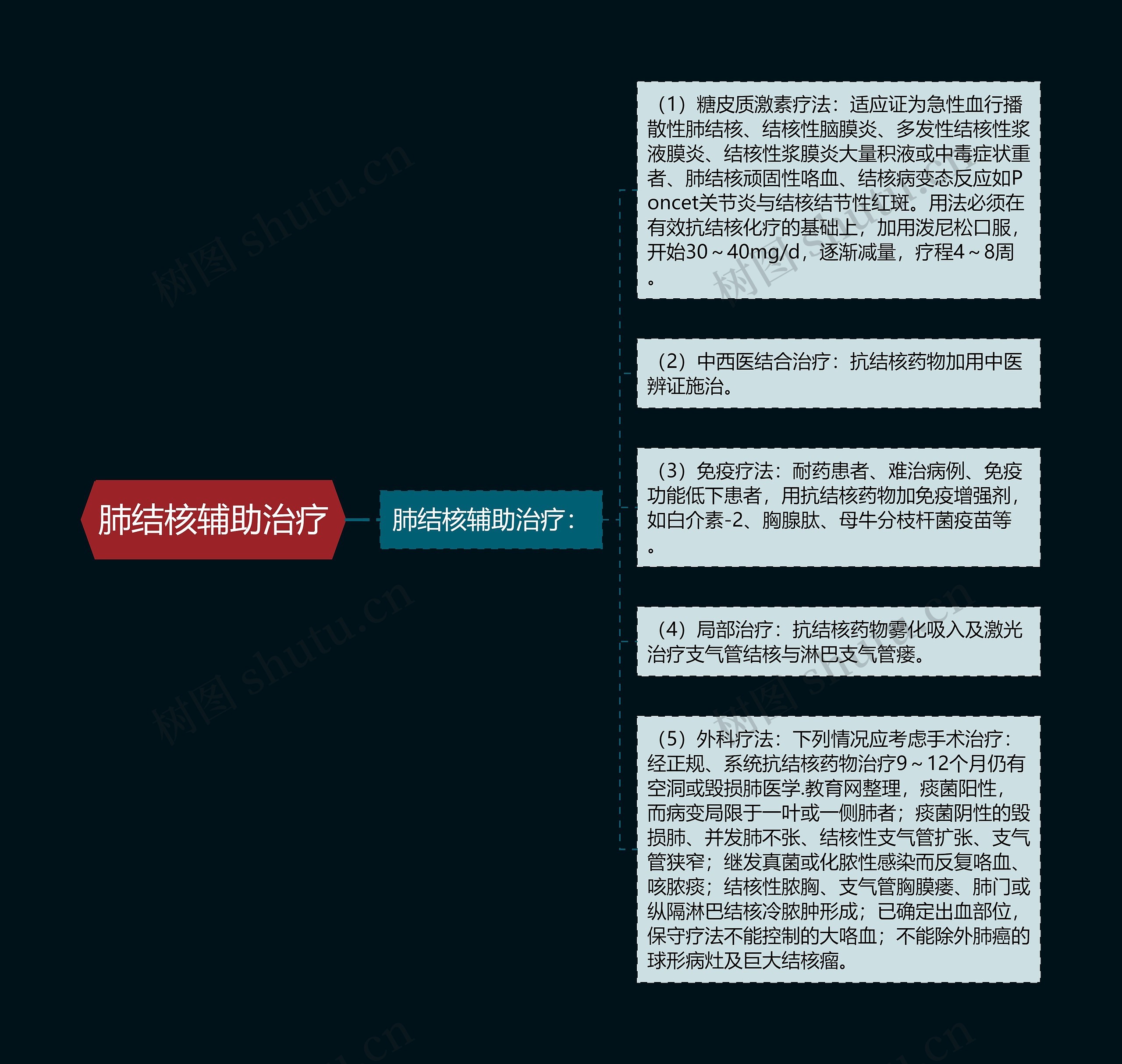 肺结核辅助治疗 肺结核辅助治疗