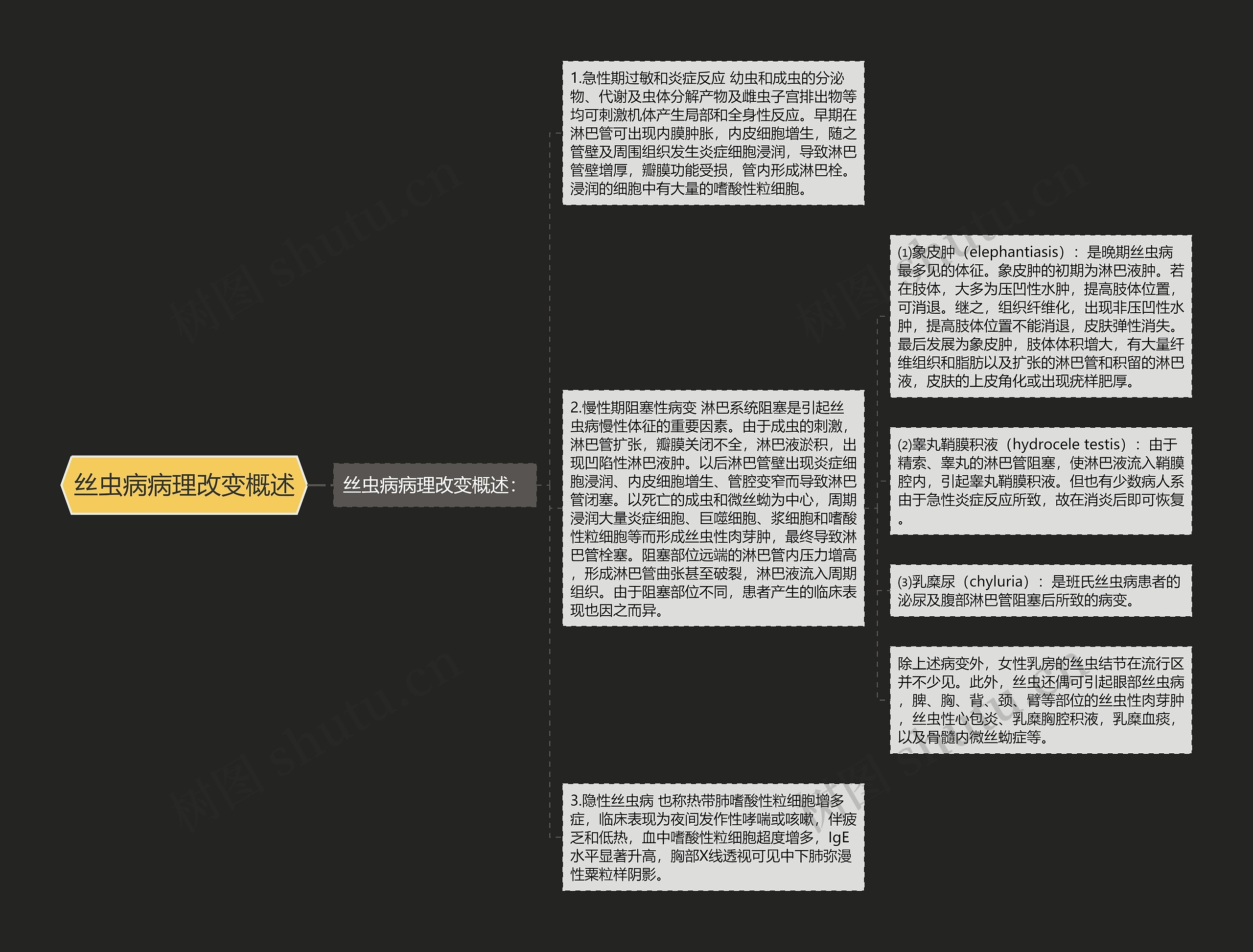 丝虫病病理改变概述思维导图