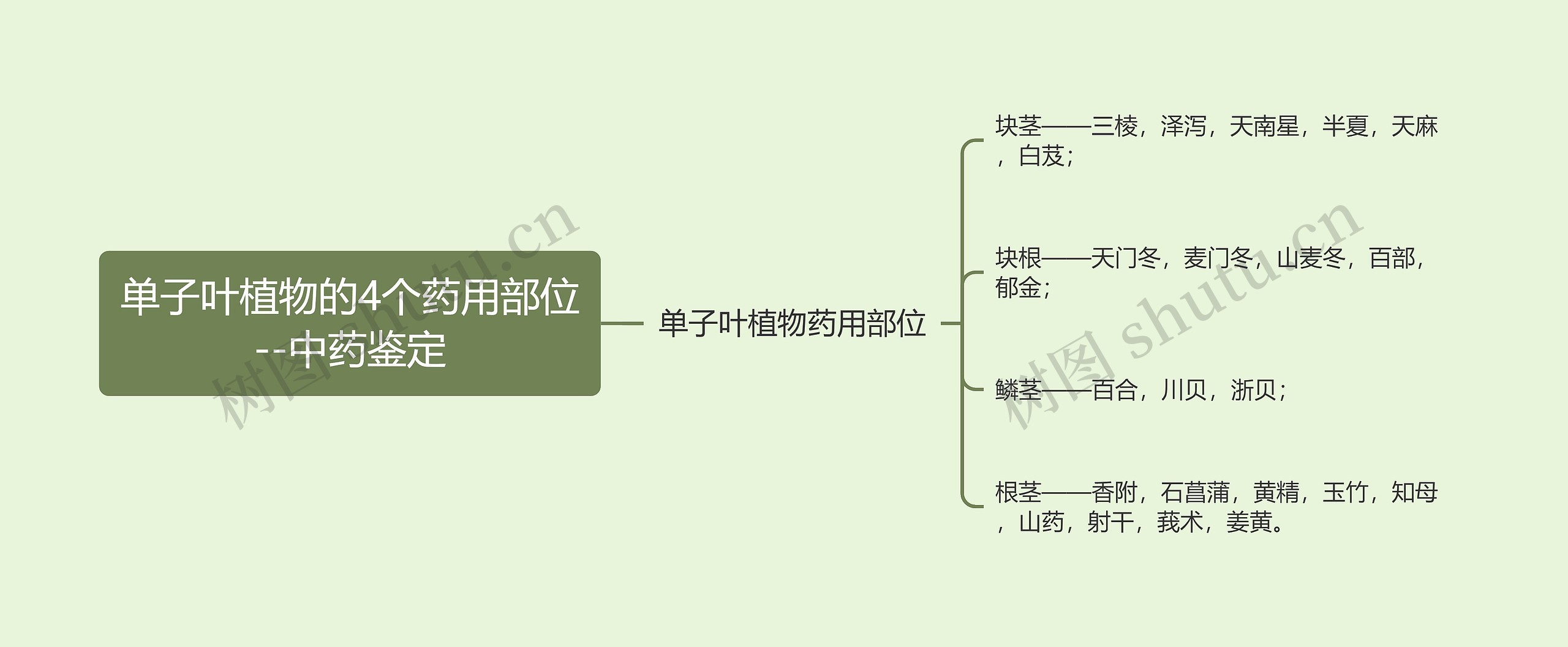 单子叶植物的4个药用部位--中药鉴定