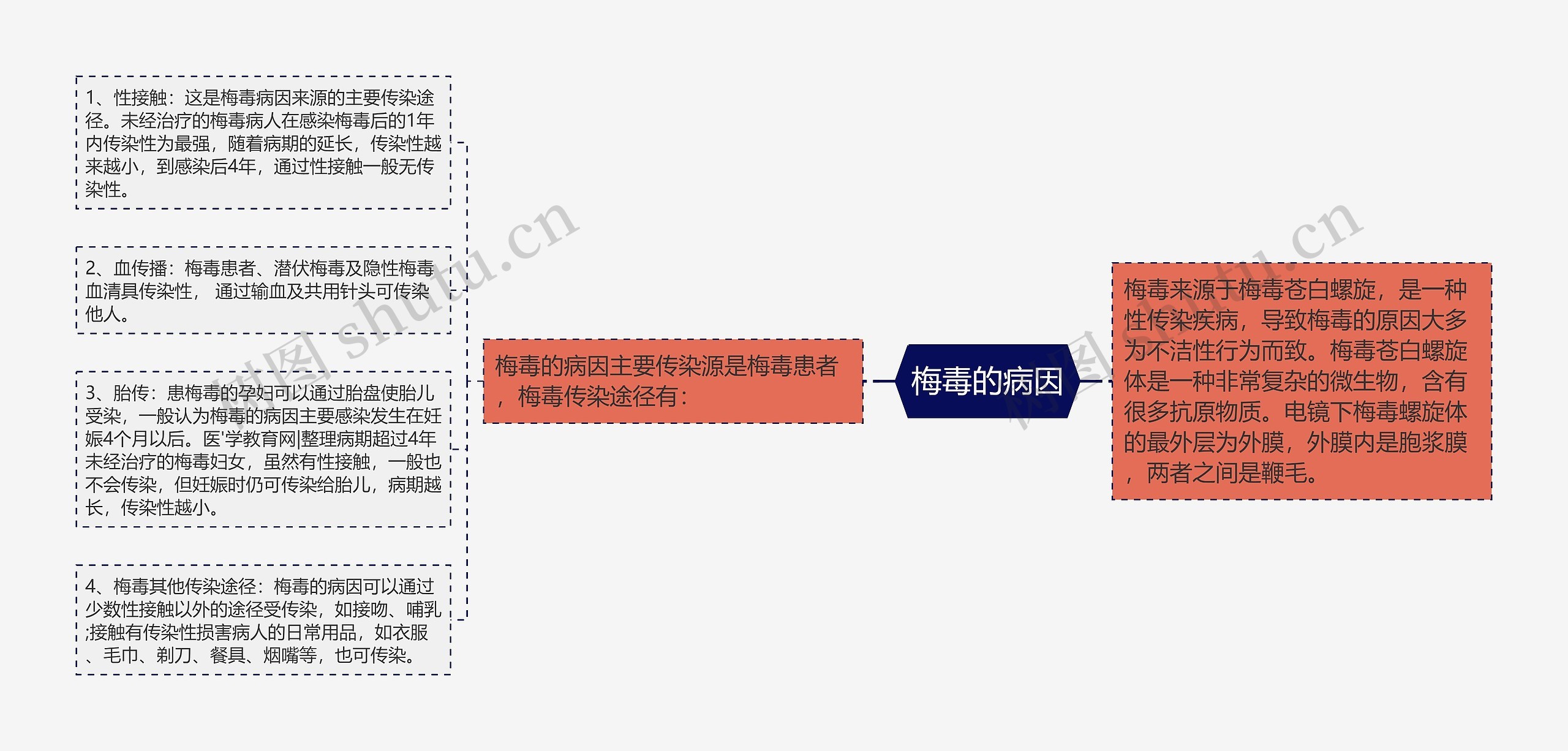 梅毒的病因 梅毒的病因