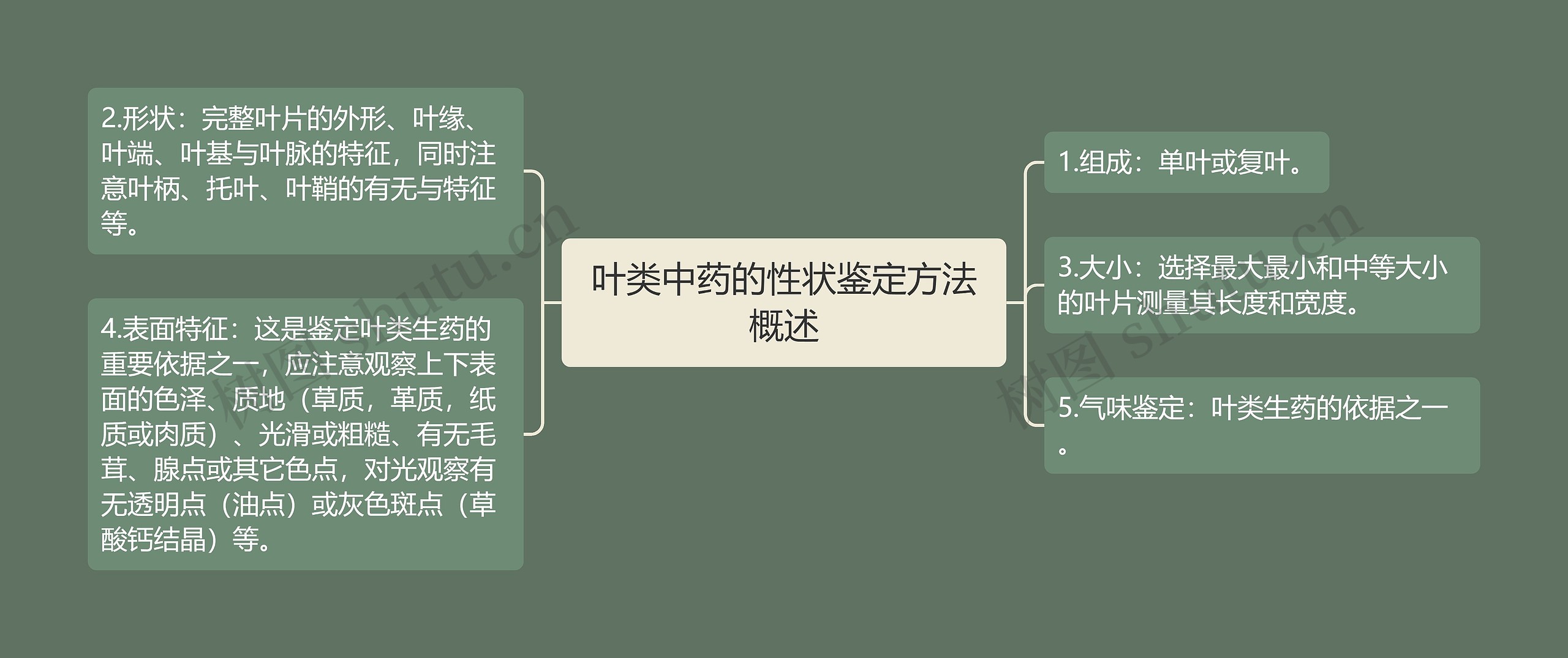 叶类中药的性状鉴定方法概述思维导图