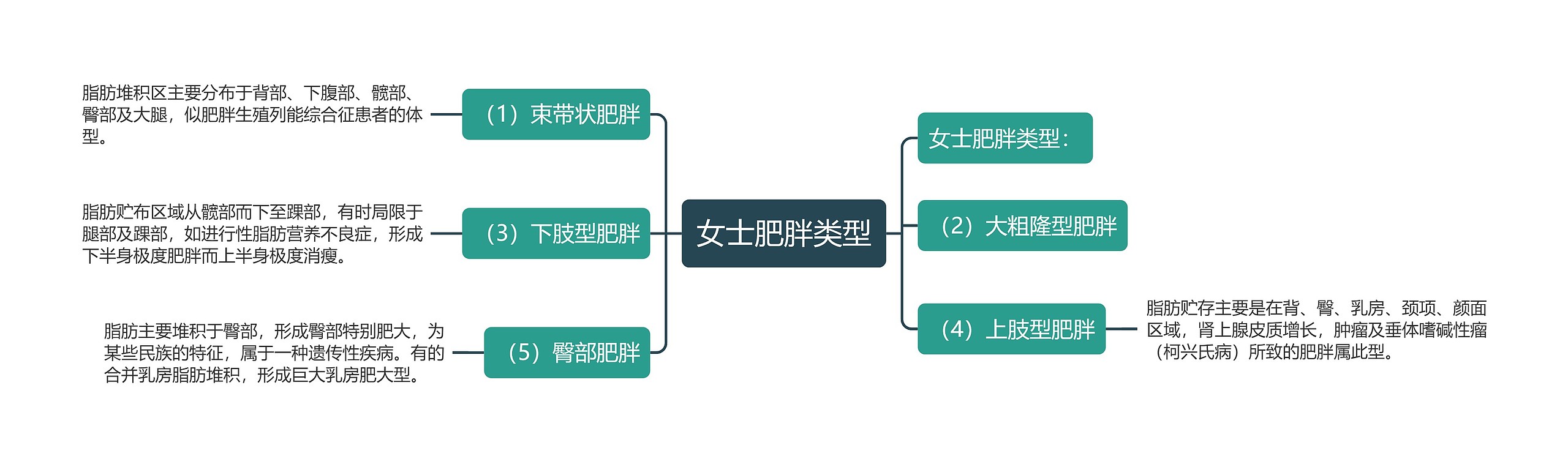 女士肥胖类型思维导图