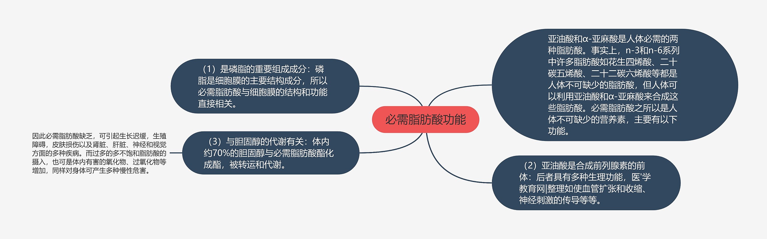 必需脂肪酸功能思维导图