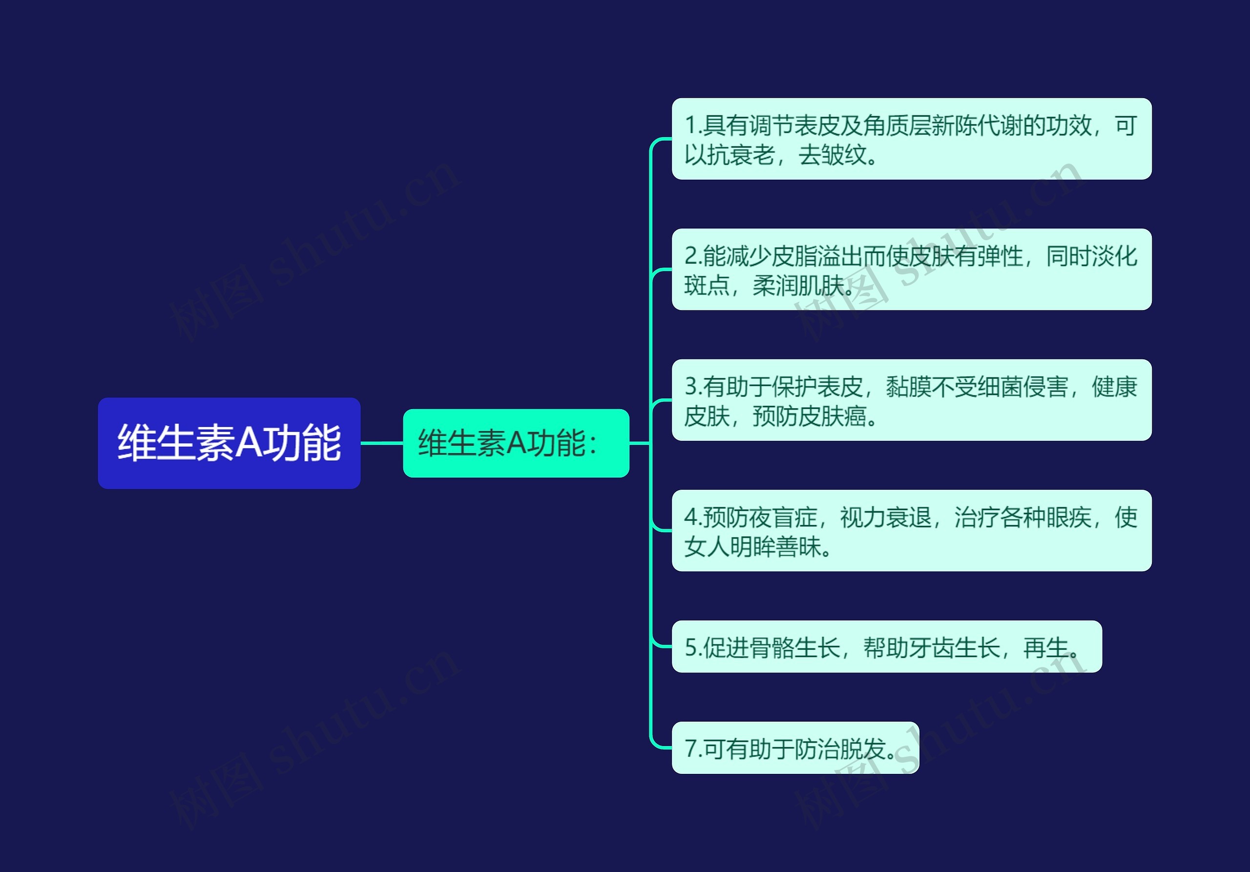 维生素A功能思维导图