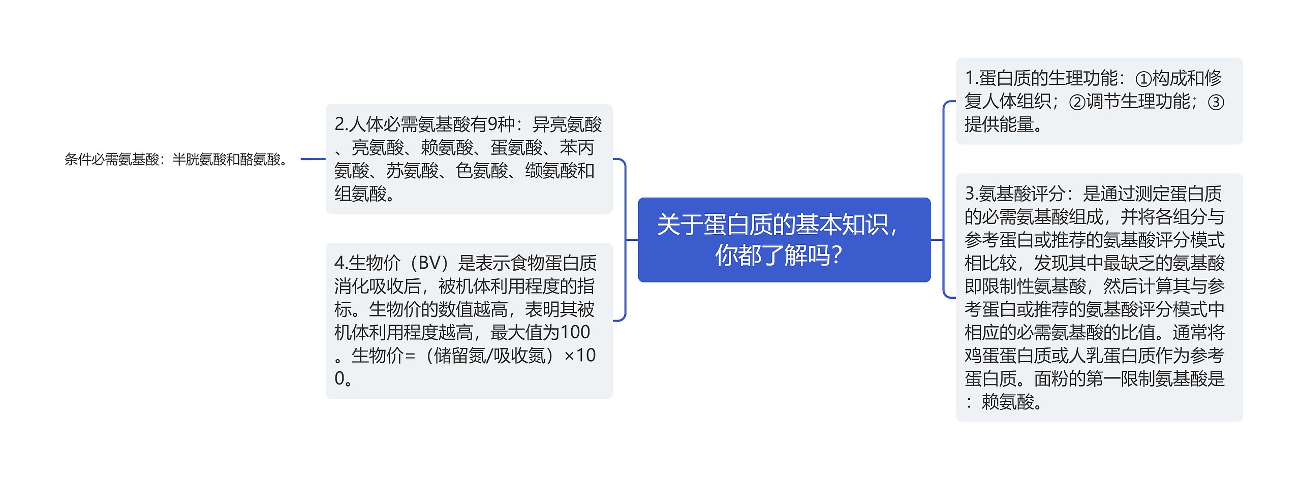 关于蛋白质的基本知识，你都了解吗？