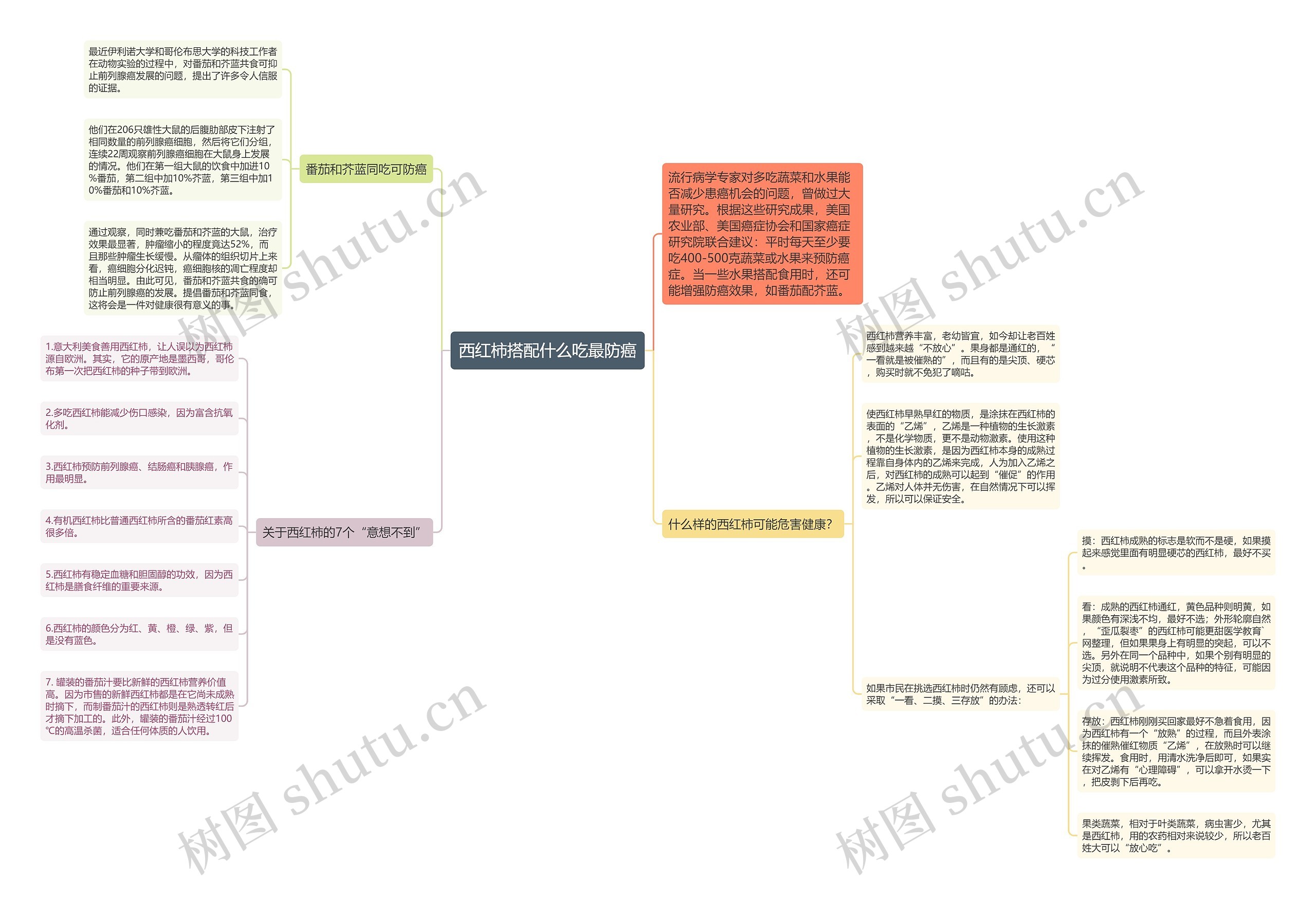 西红柿搭配什么吃最防癌思维导图