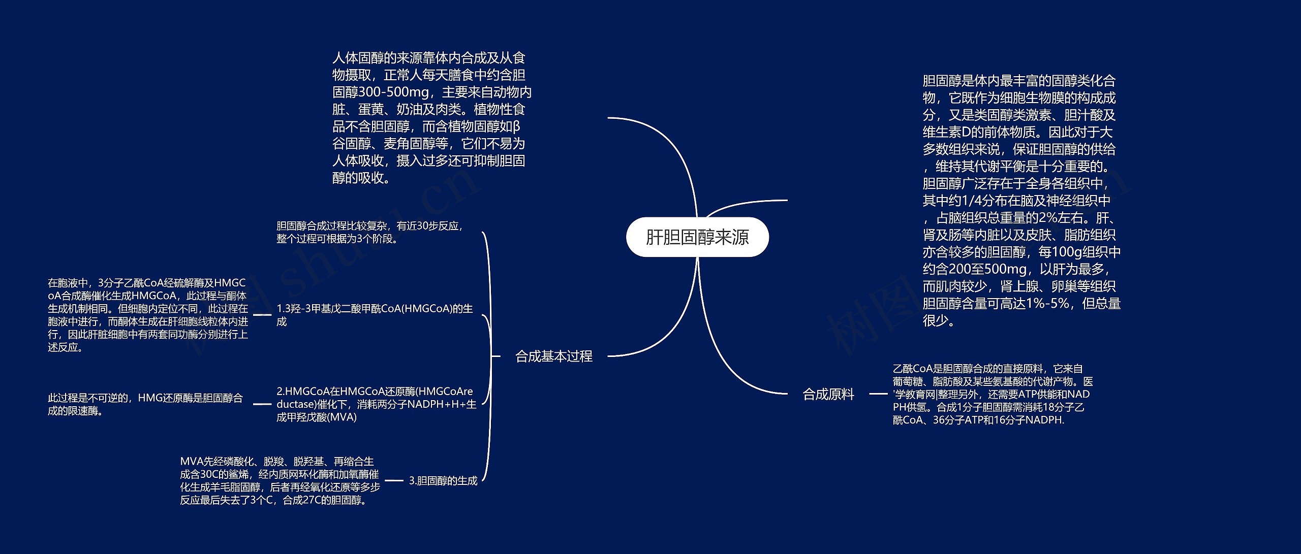 肝胆固醇来源思维导图