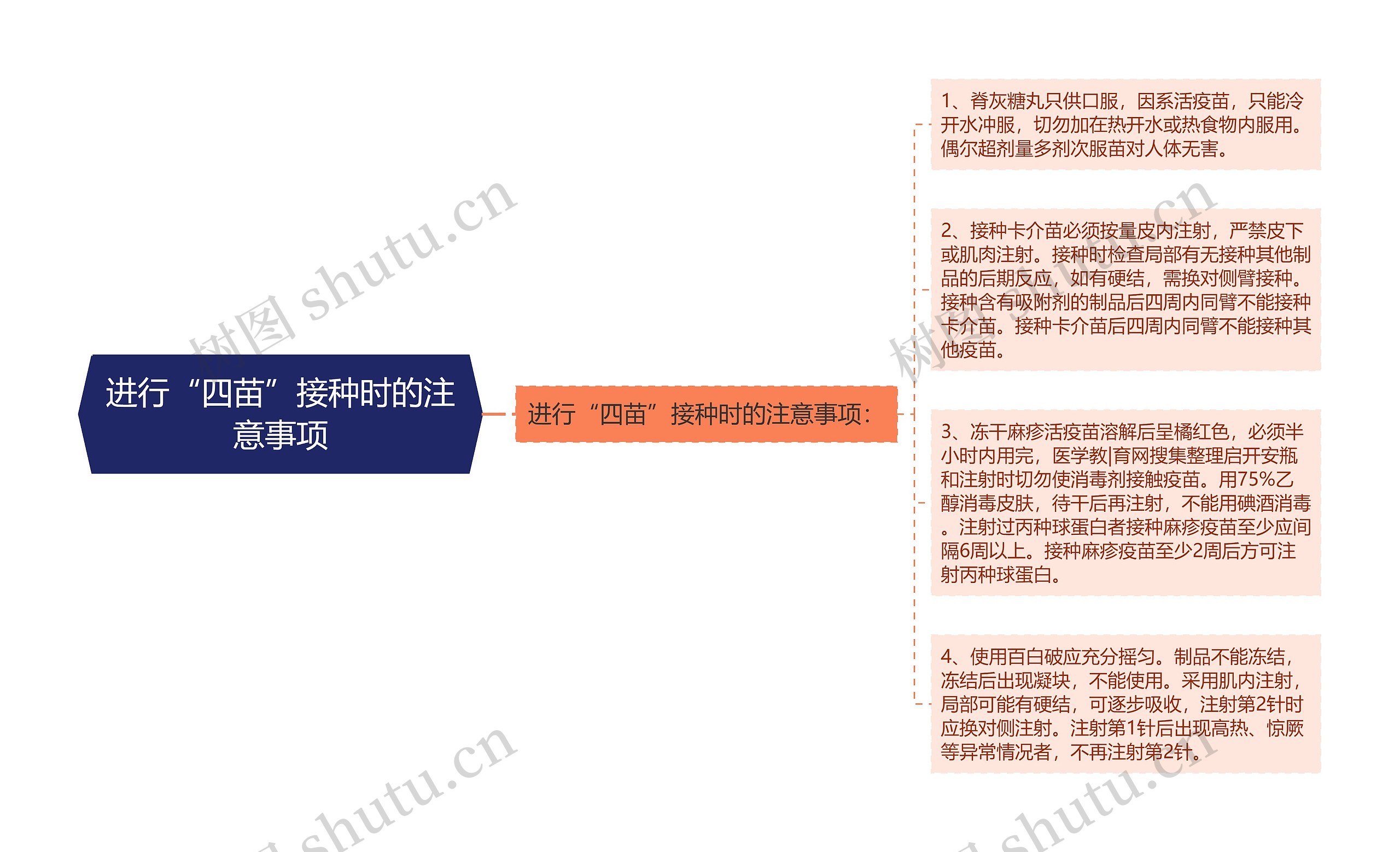 进行“四苗”接种时的注意事项思维导图