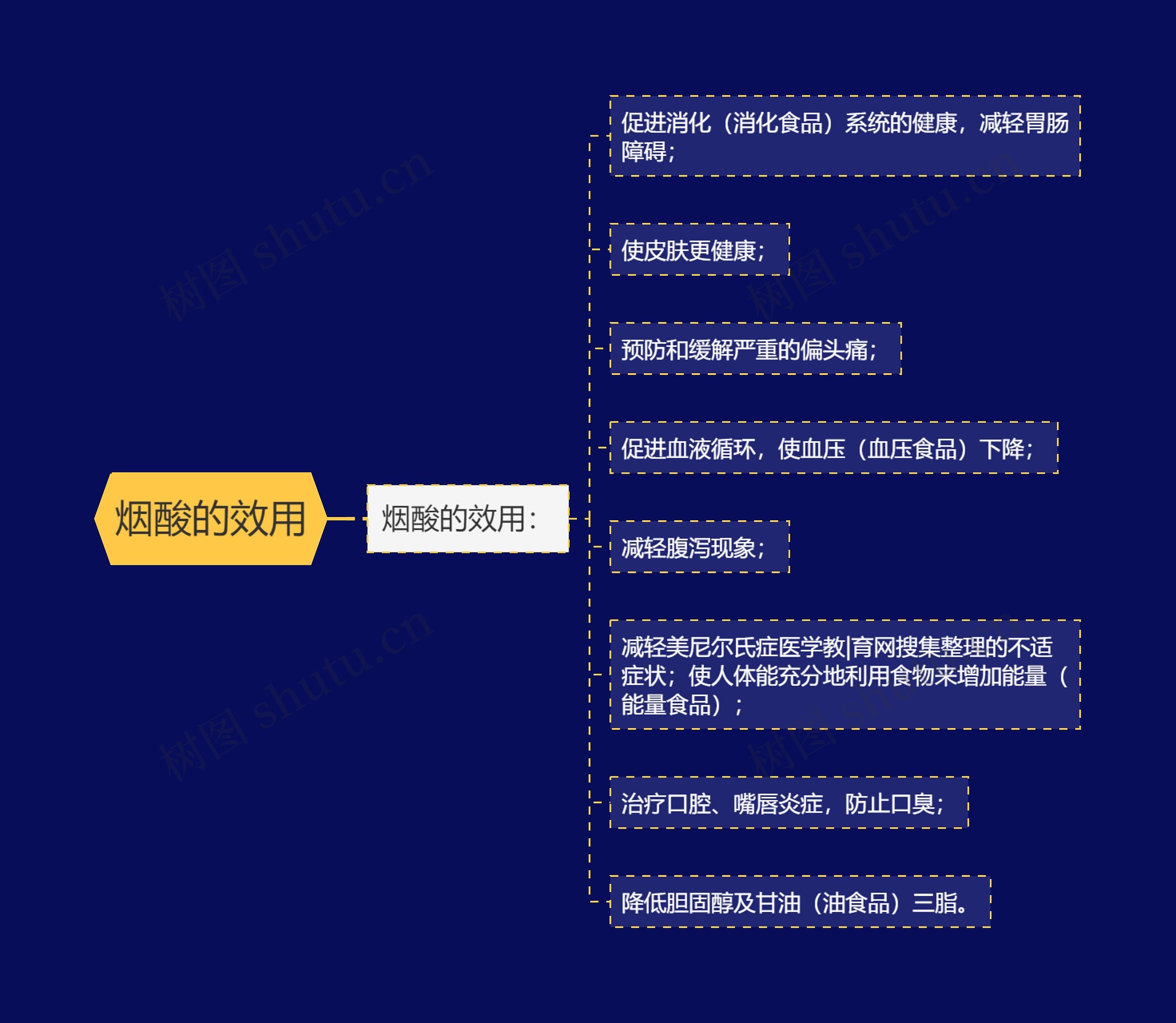 烟酸的效用思维导图