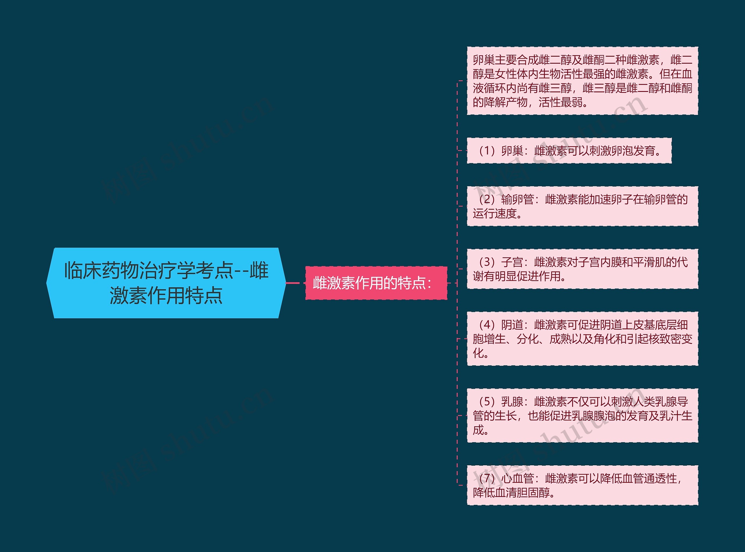 临床药物治疗学考点--雌激素作用特点